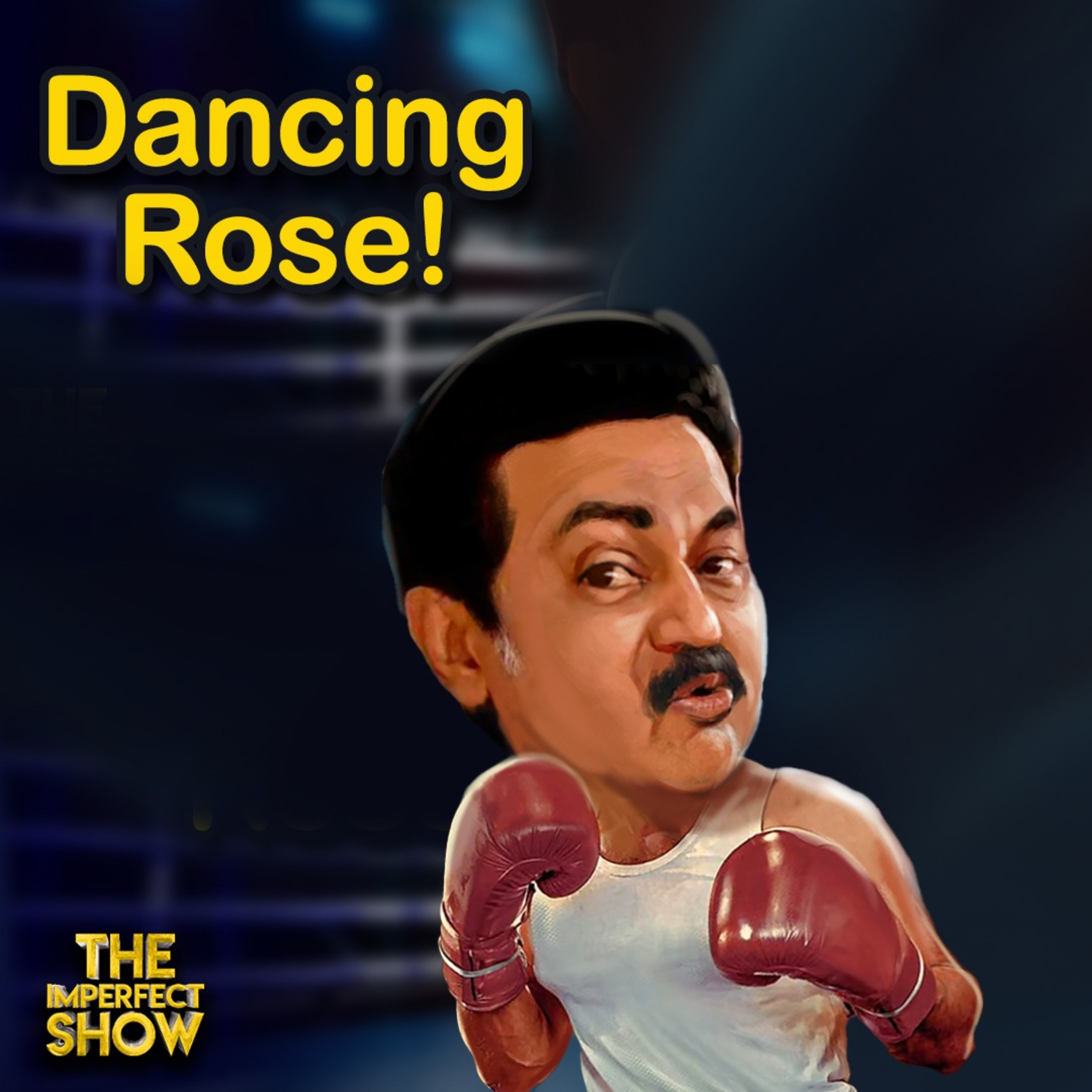 The Imperfect show - Hello Vikatan