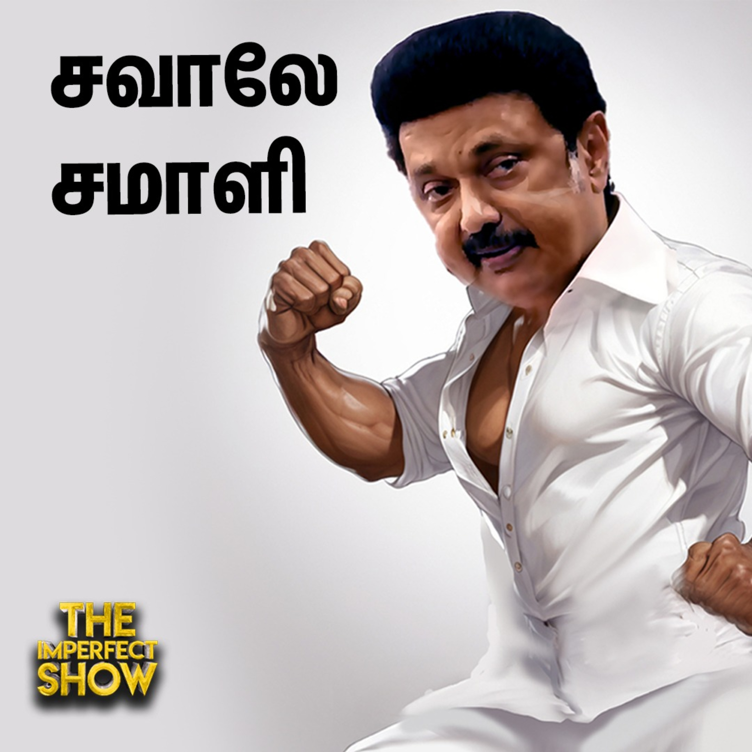 The Imperfect show - Hello Vikatan
