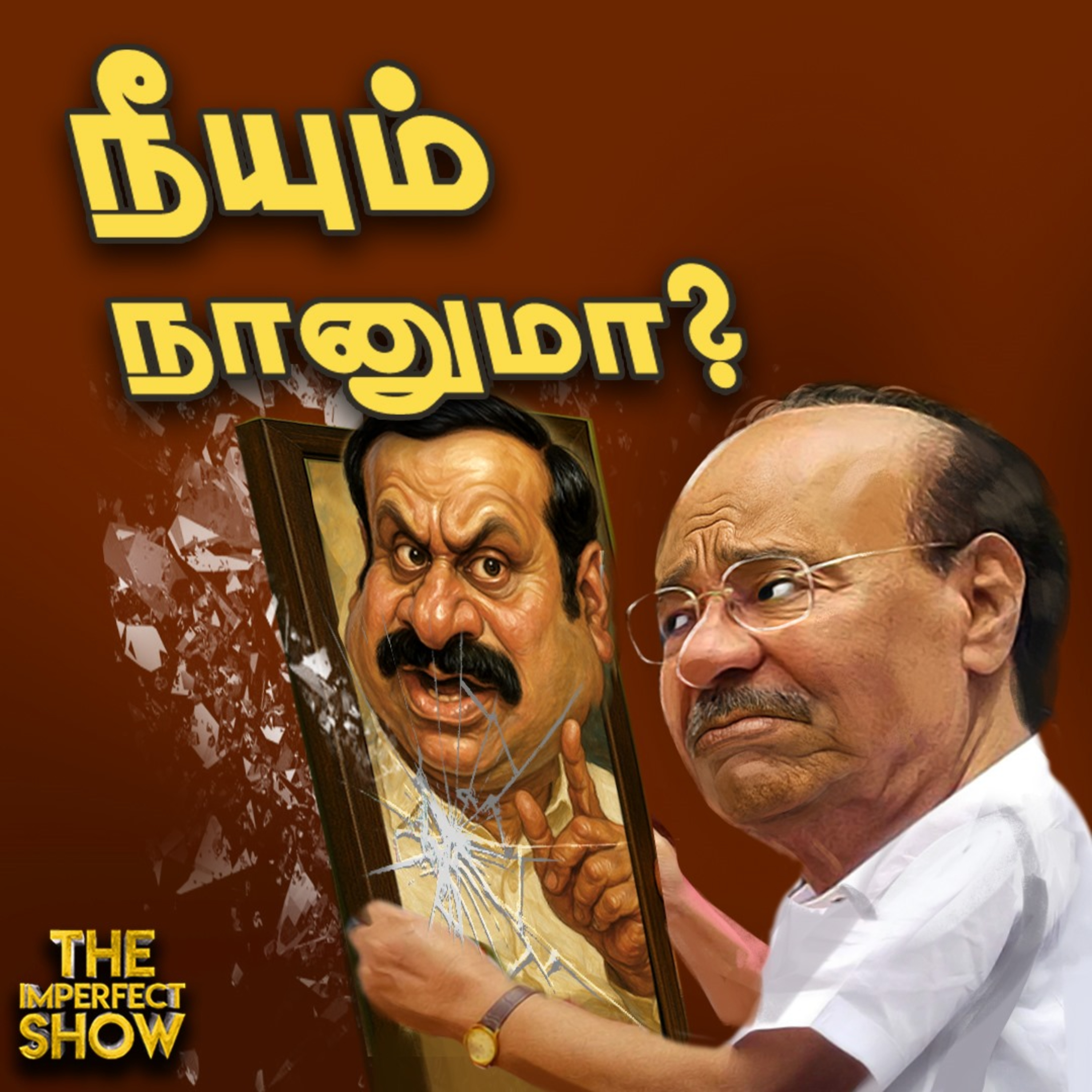 `எல்லா தப்பையும் நான் தான் பண்ணேன்' -கொதித்த ராமதாஸ் உடைந்த பாமக? Anbumani |Imperfect Show 29.5.2025