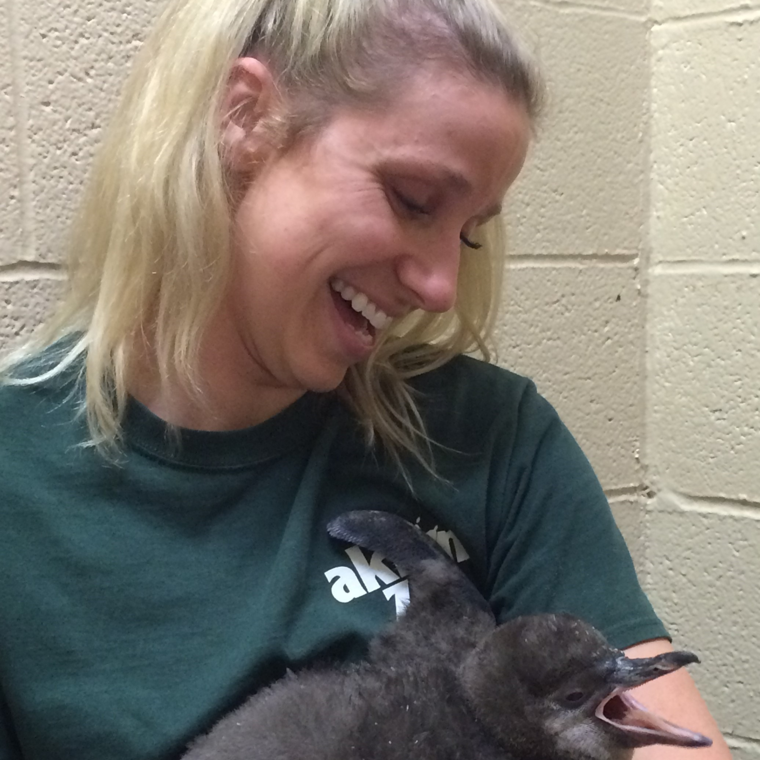 Uproar - An Akron Zoo Podcast