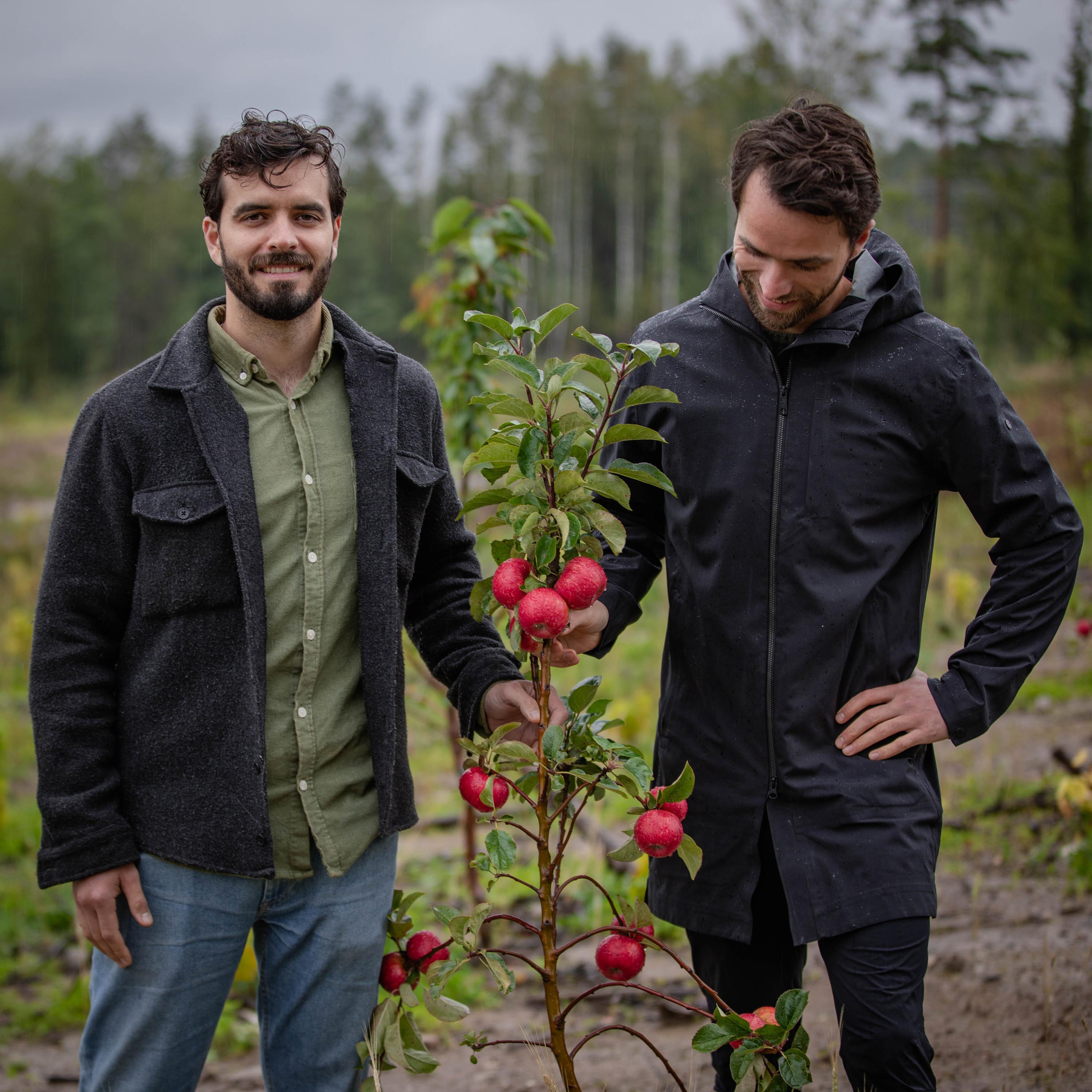 Eijos bygger regenerativ vin- & sider gård  episode artwork