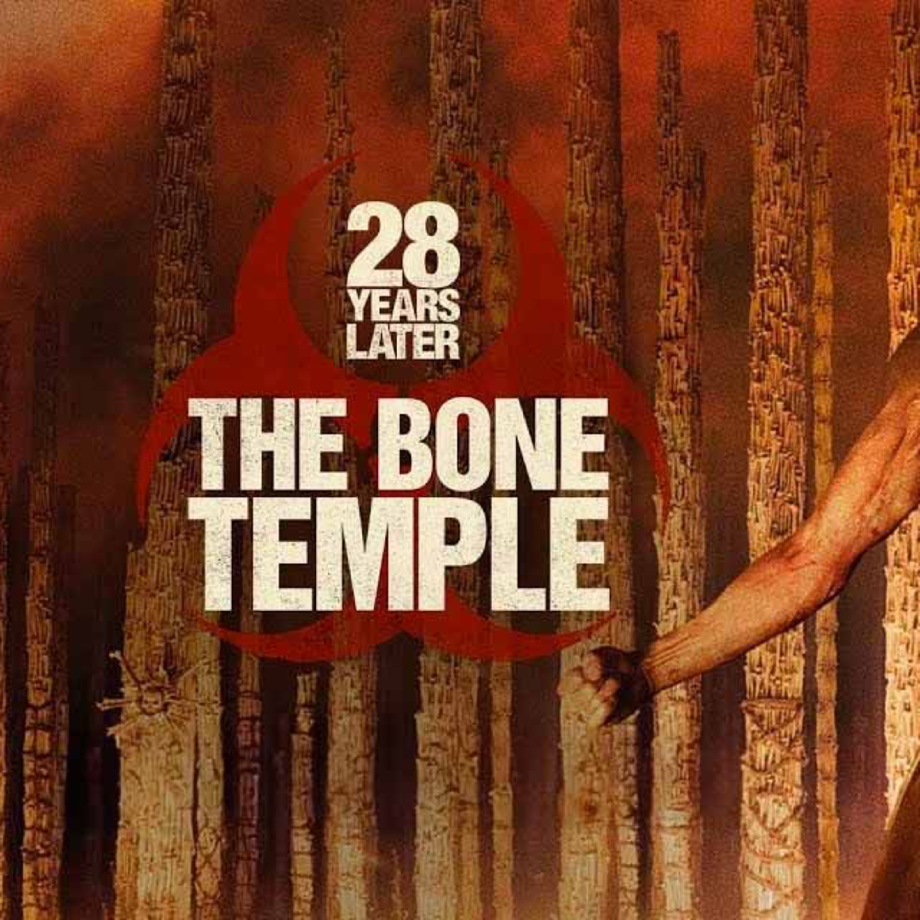 Parking Lot Perspectives