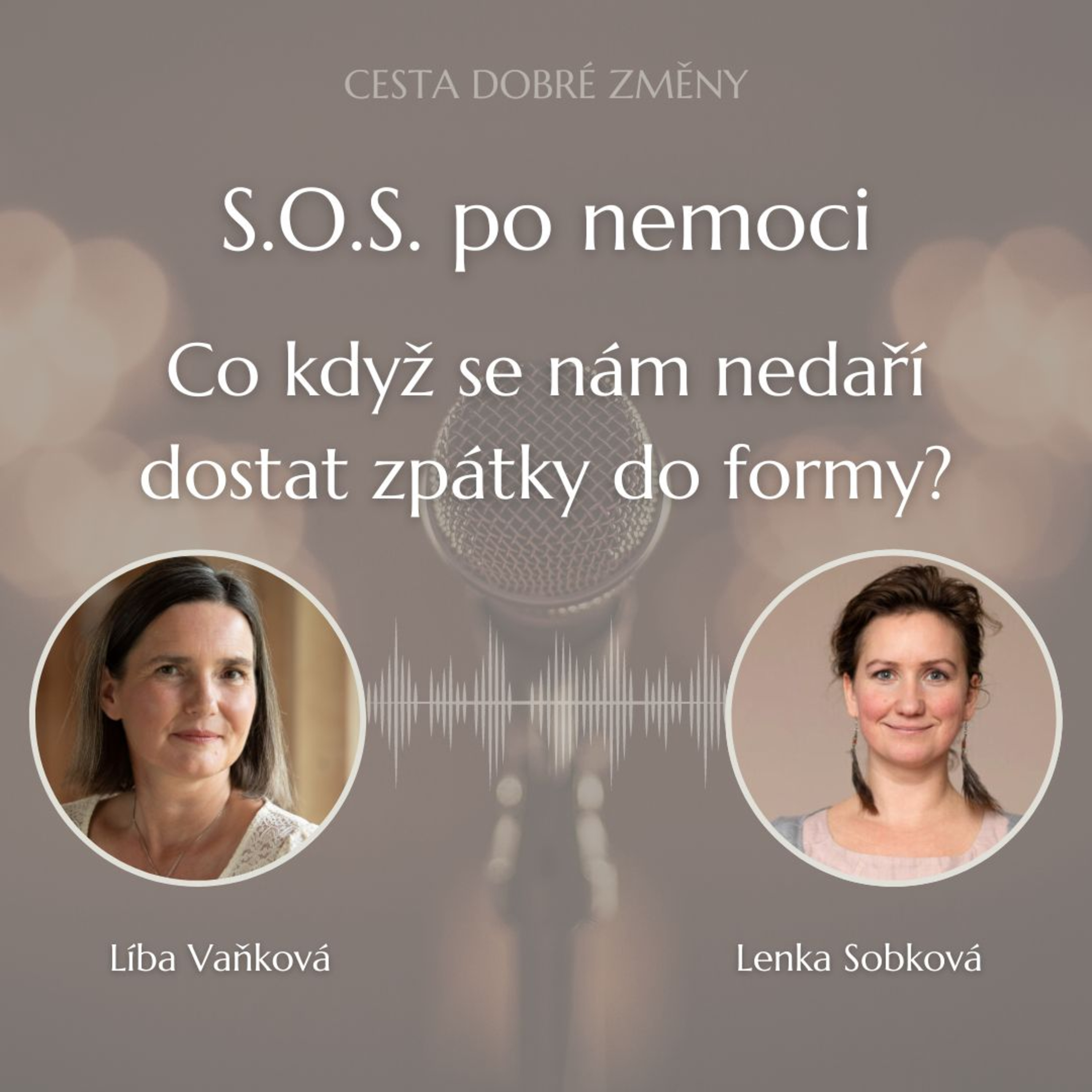 Cesta Dobré Změny