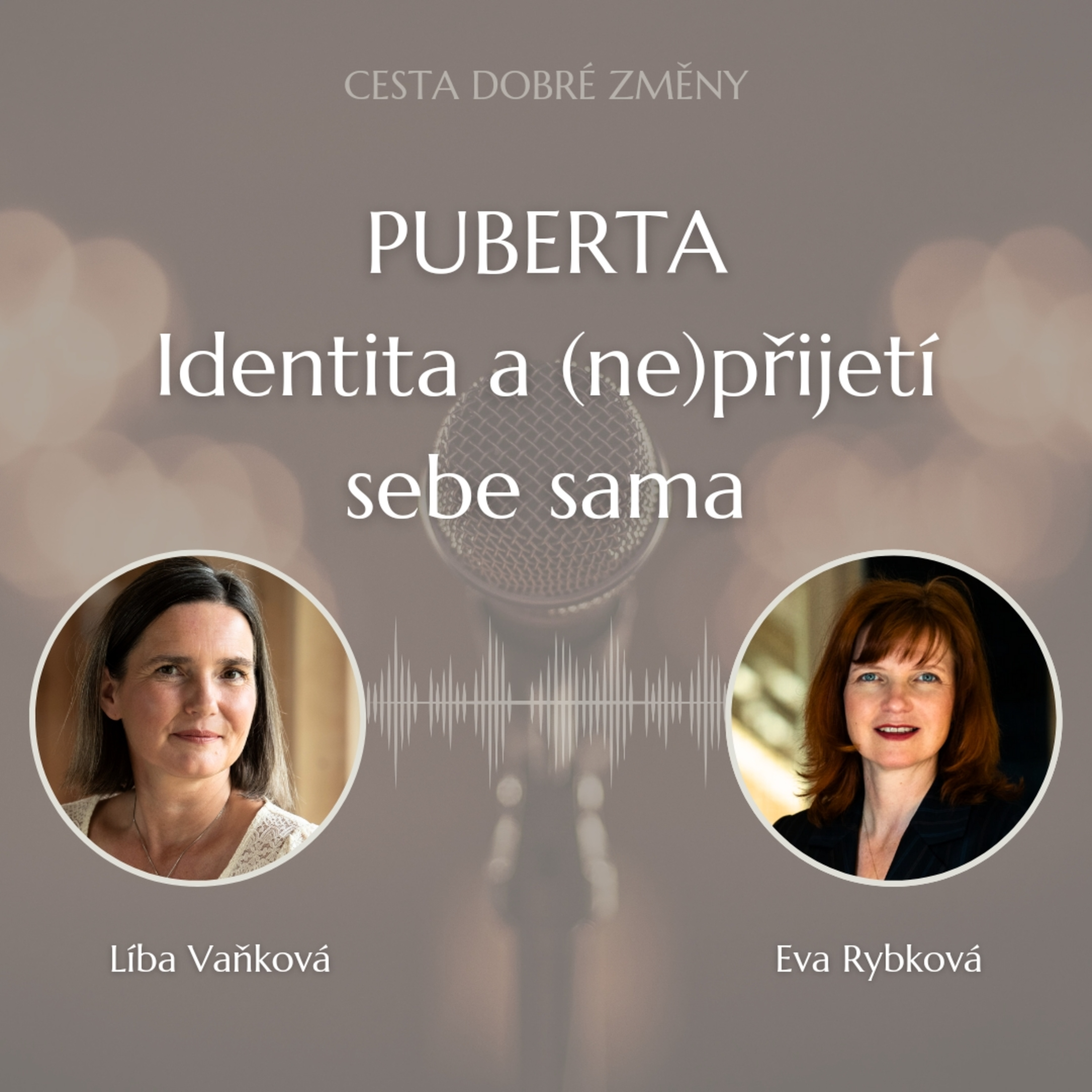 Cesta Dobré Změny