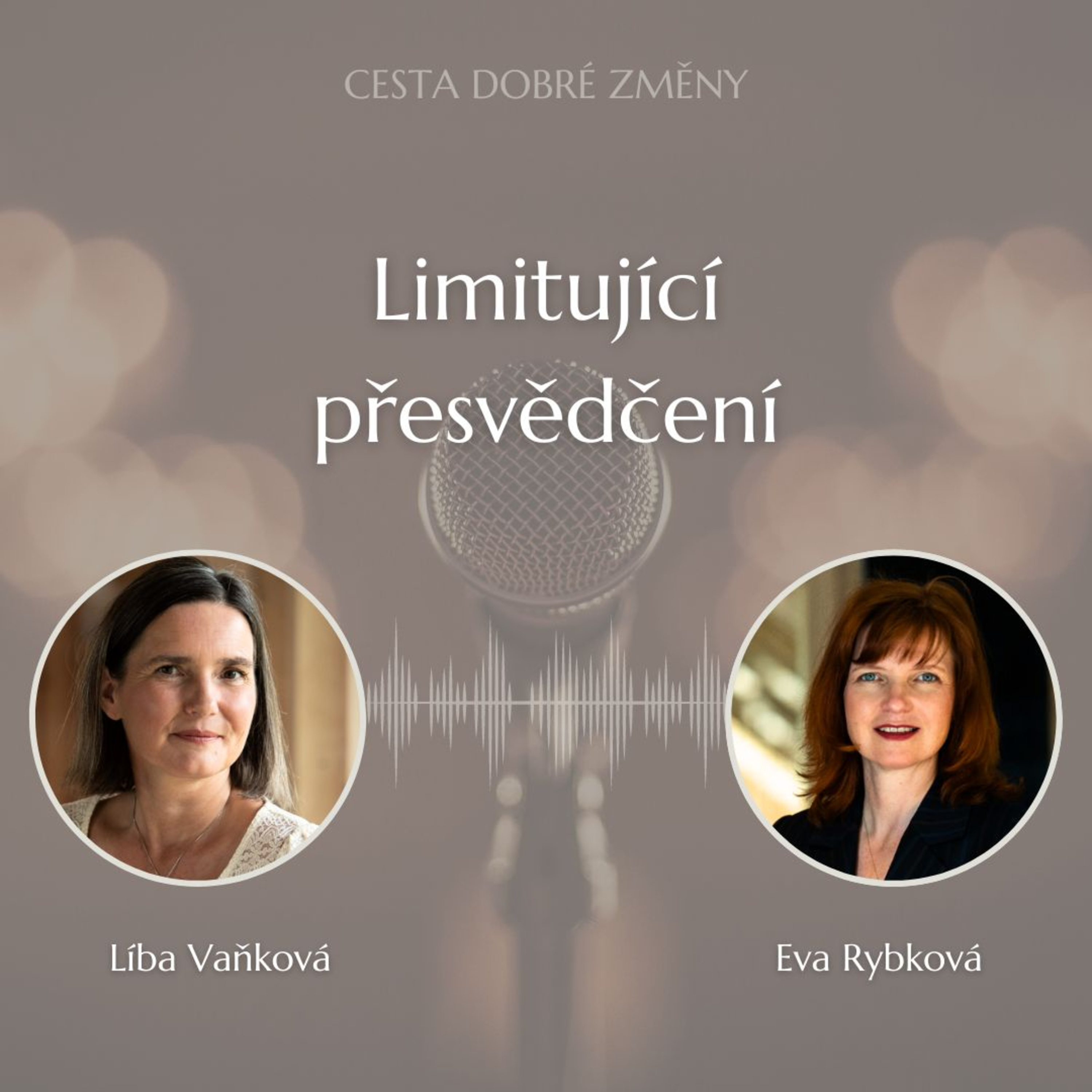 Cesta Dobré Změny