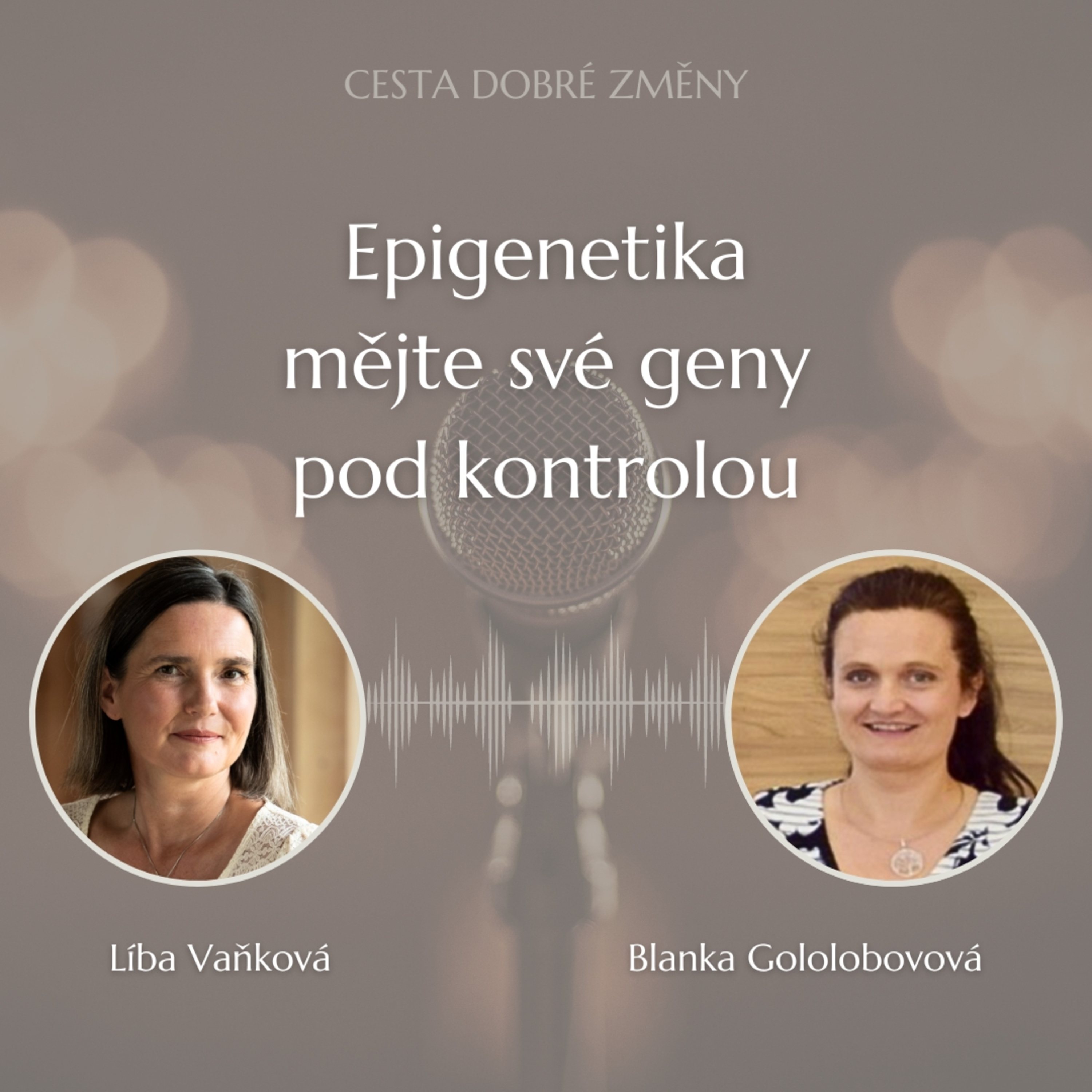 Cesta Dobré Změny