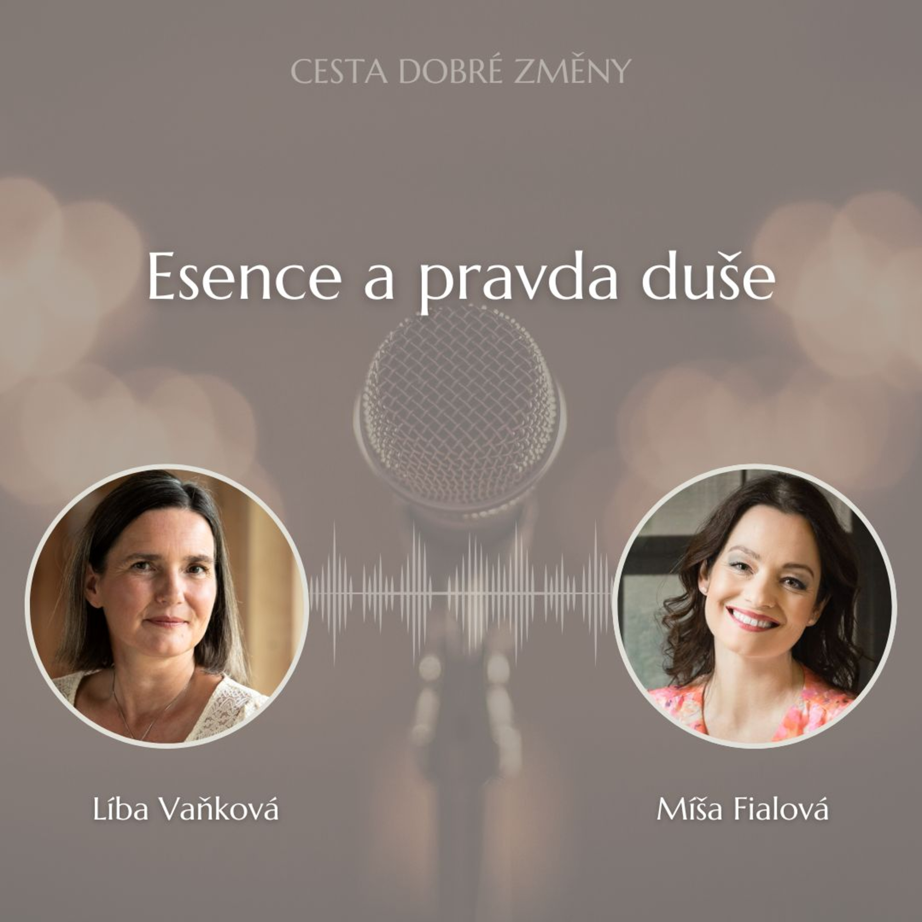 Cesta Dobré Změny