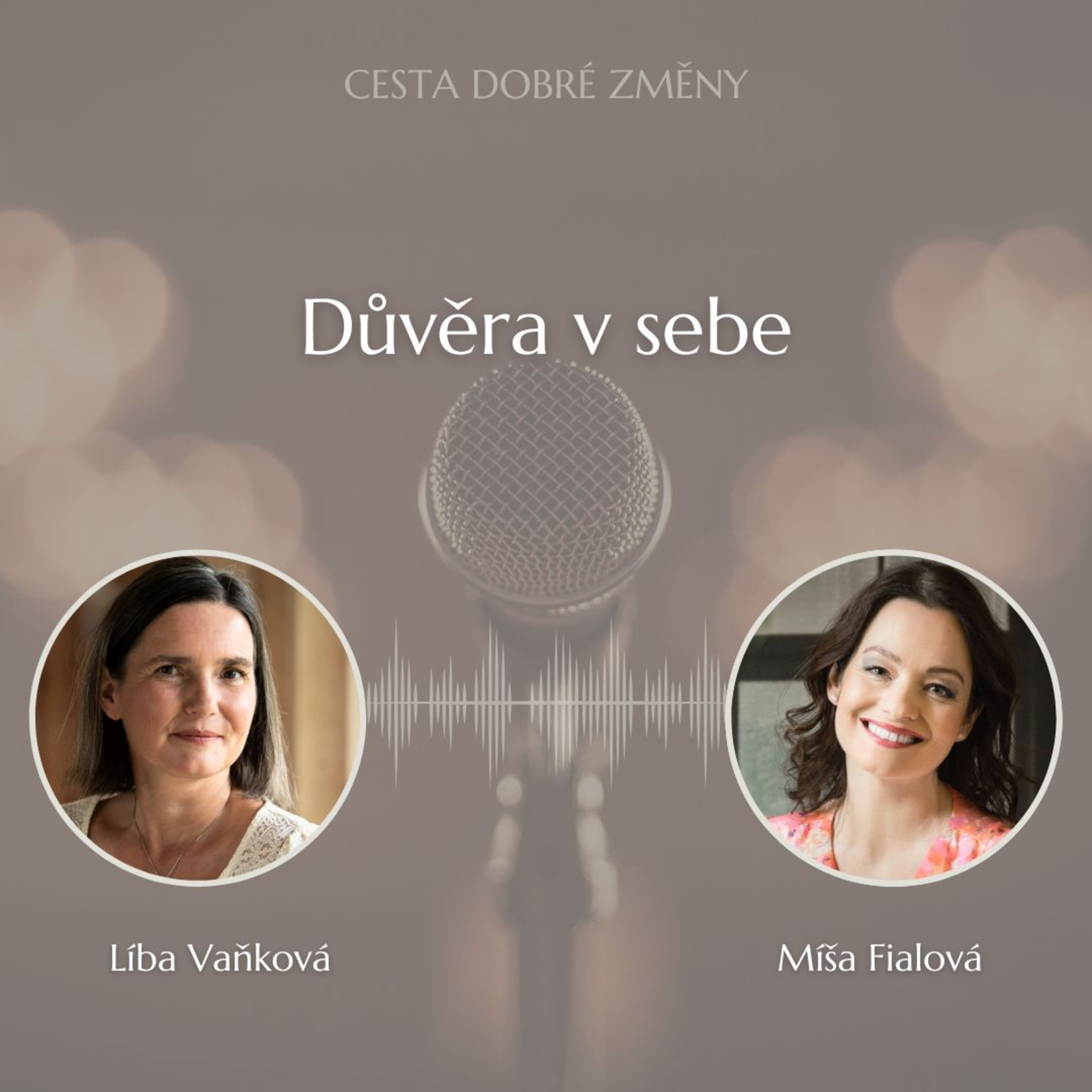 Cesta Dobré Změny