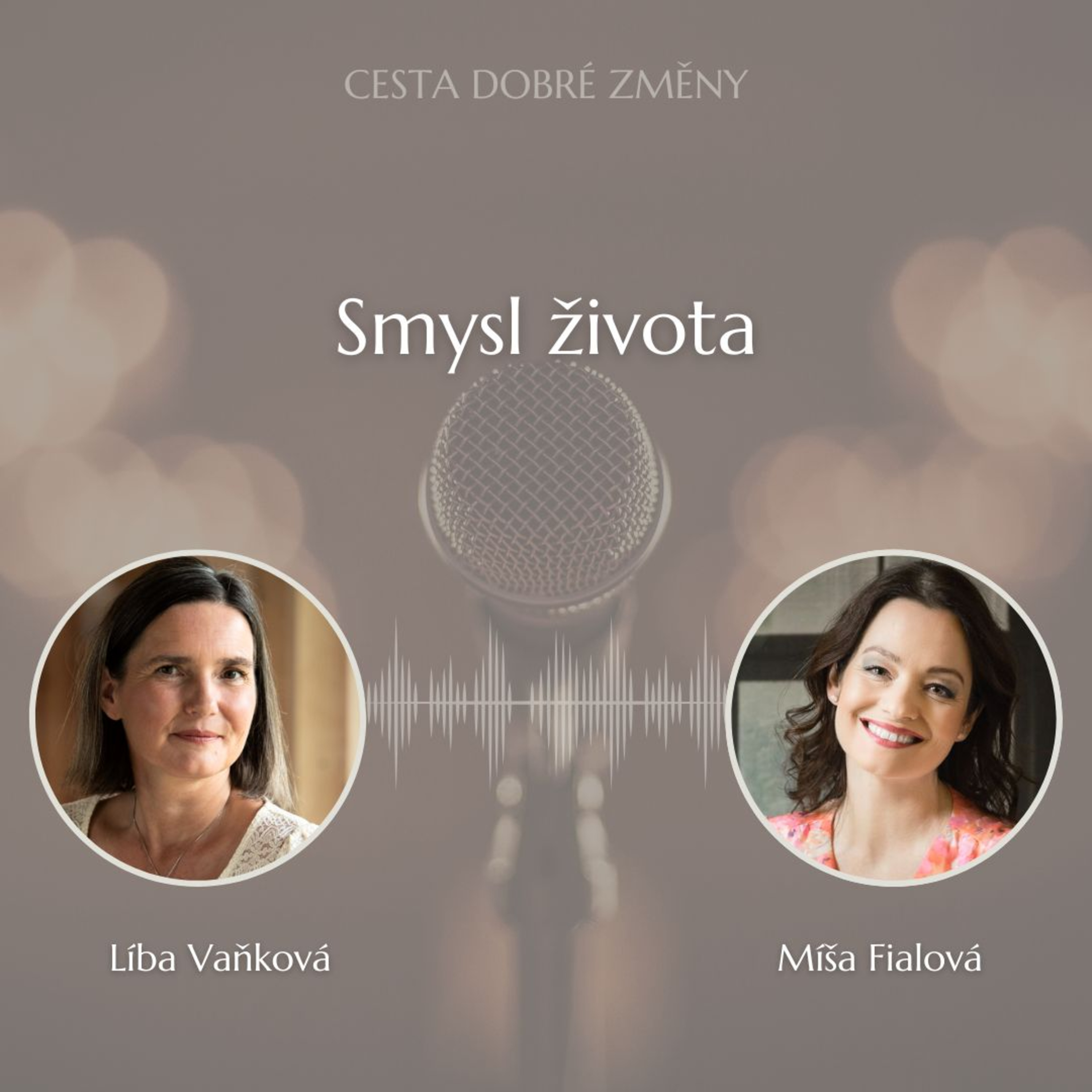 Cesta Dobré Změny