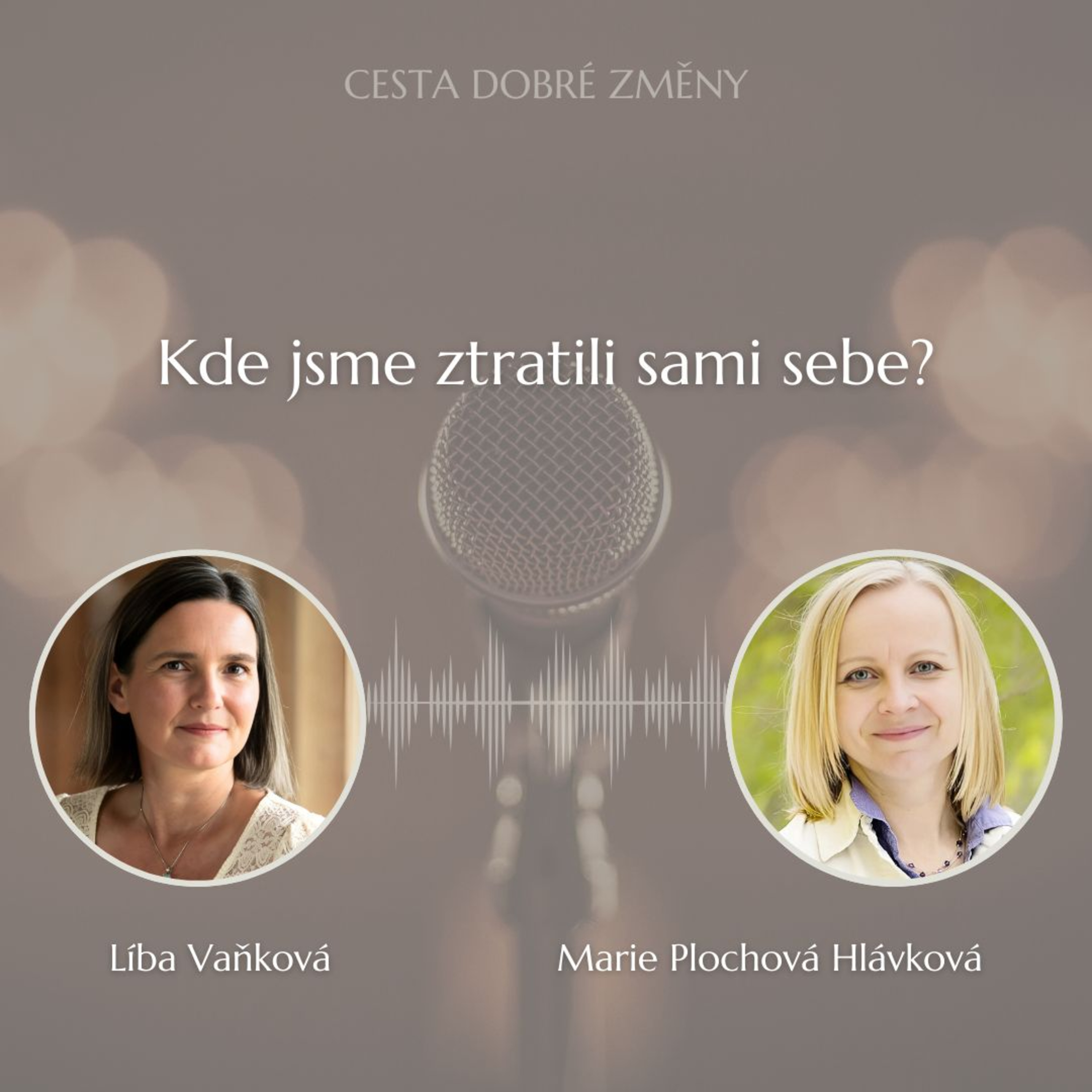 Cesta Dobré Změny