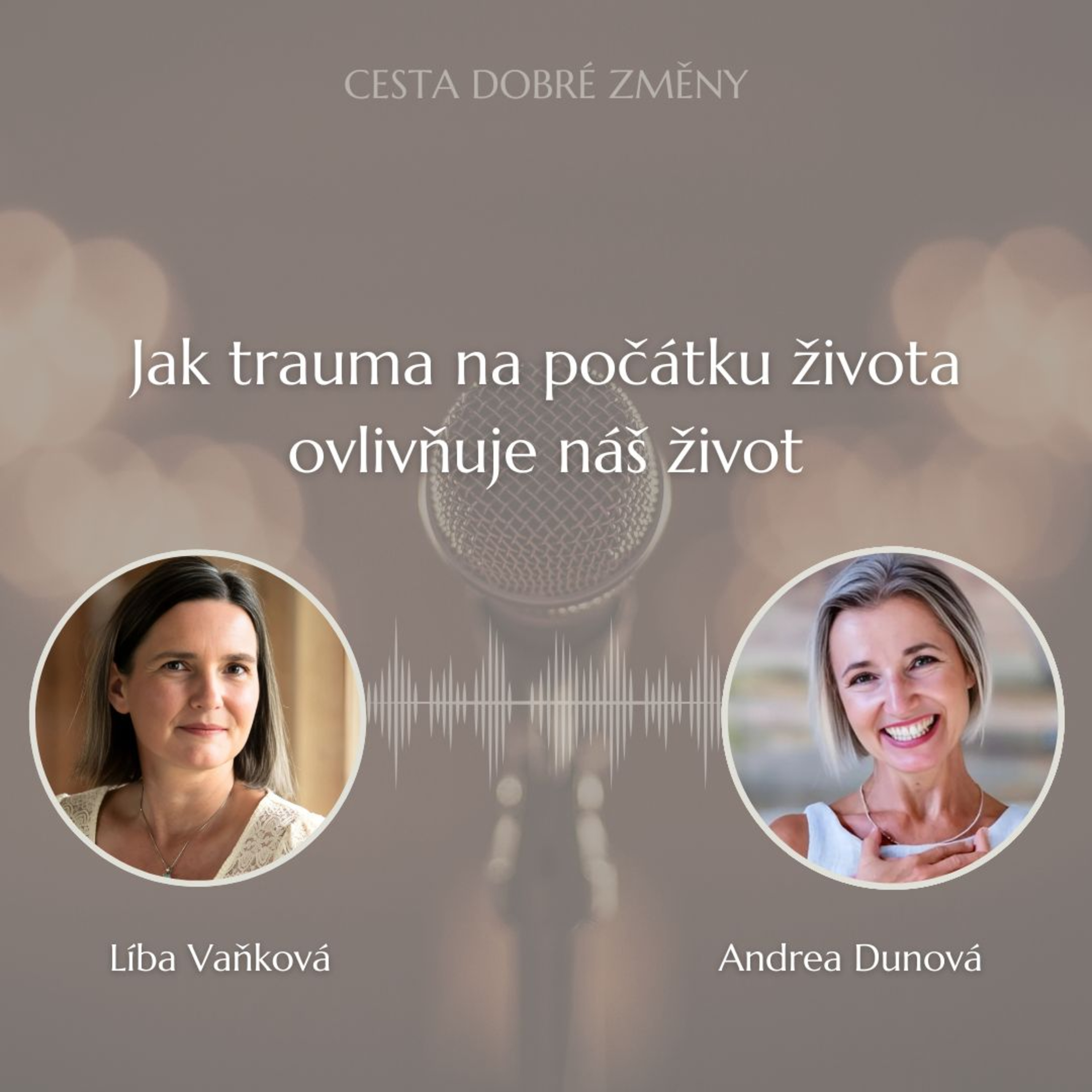 Cesta Dobré Změny