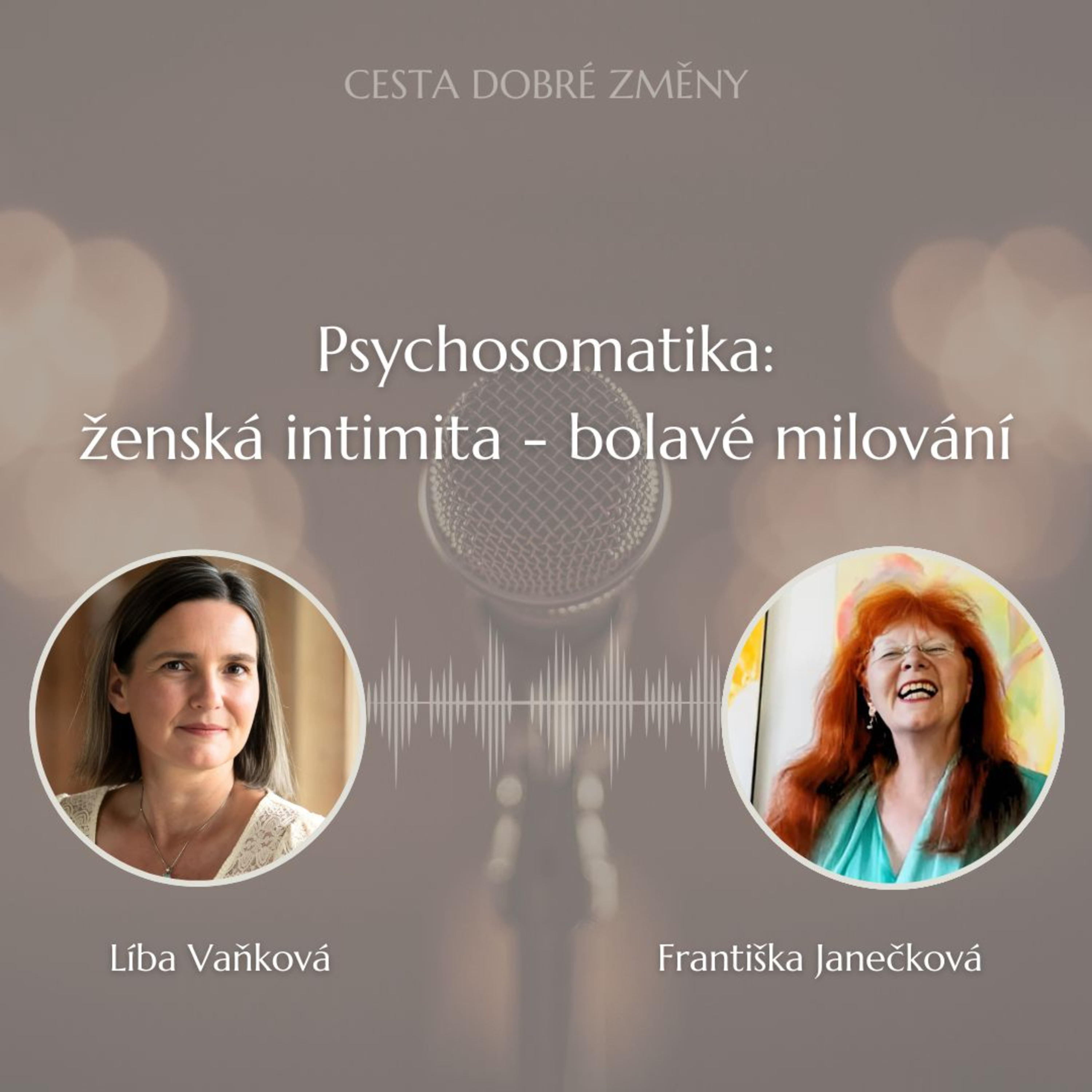Cesta Dobré Změny