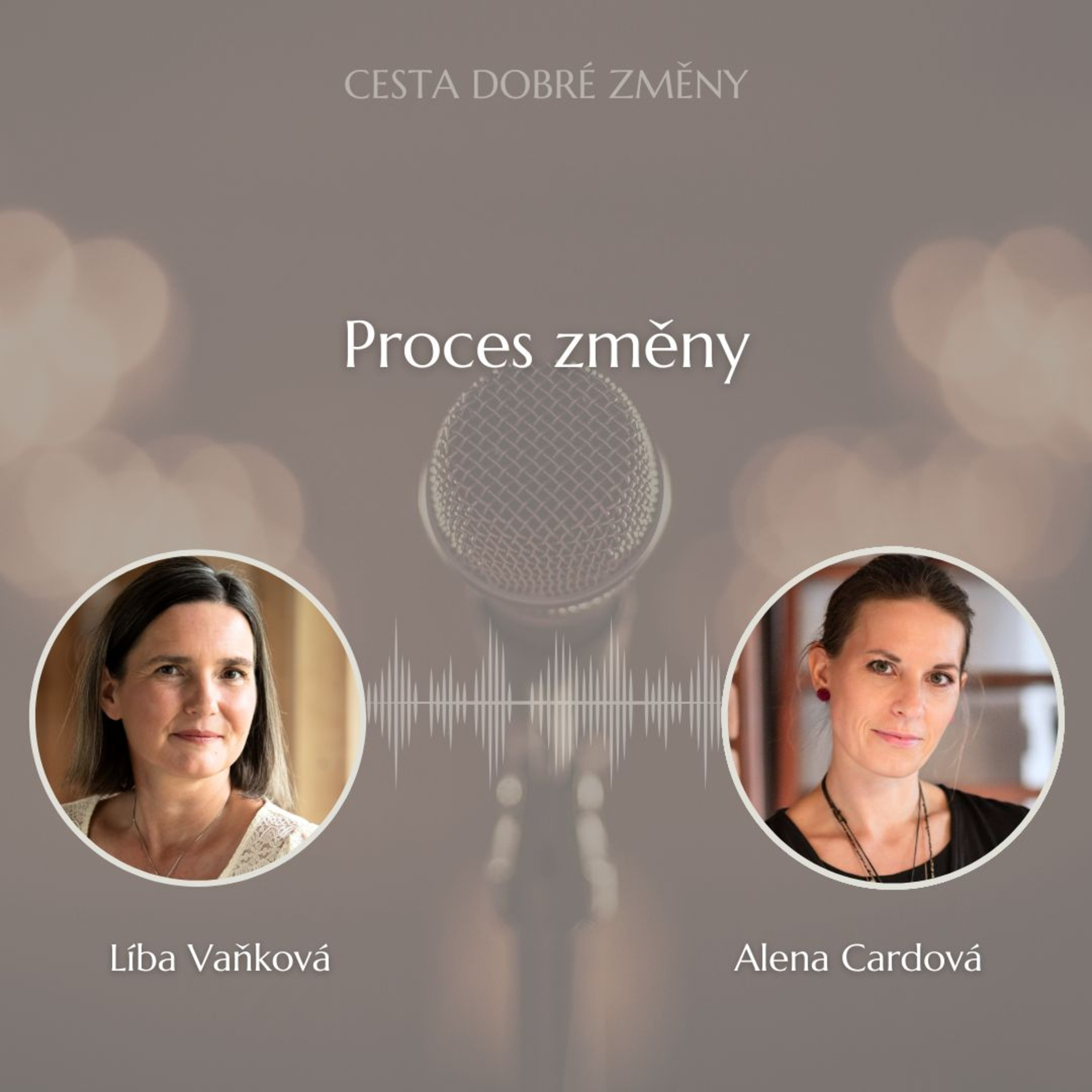 Cesta Dobré Změny