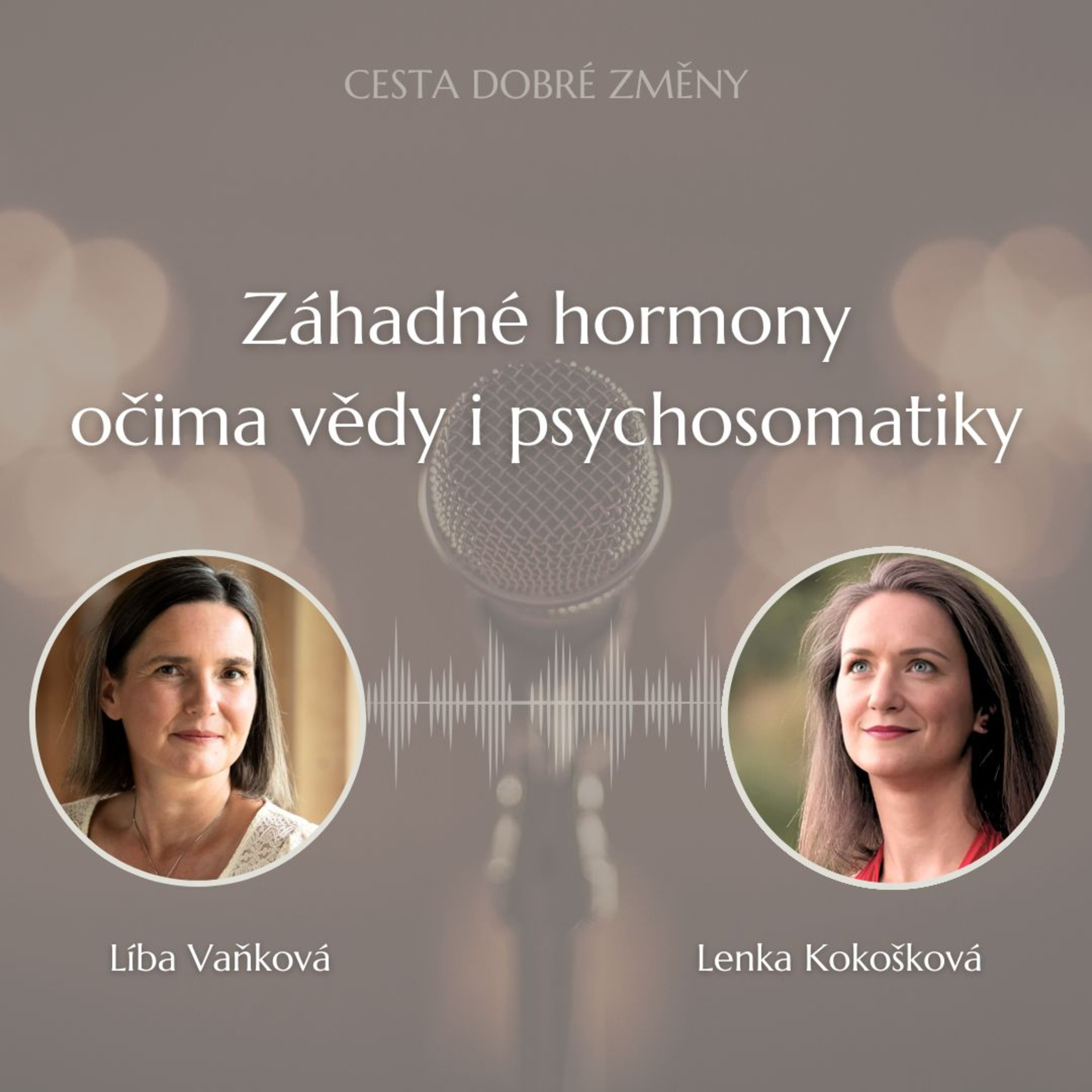Cesta Dobré Změny