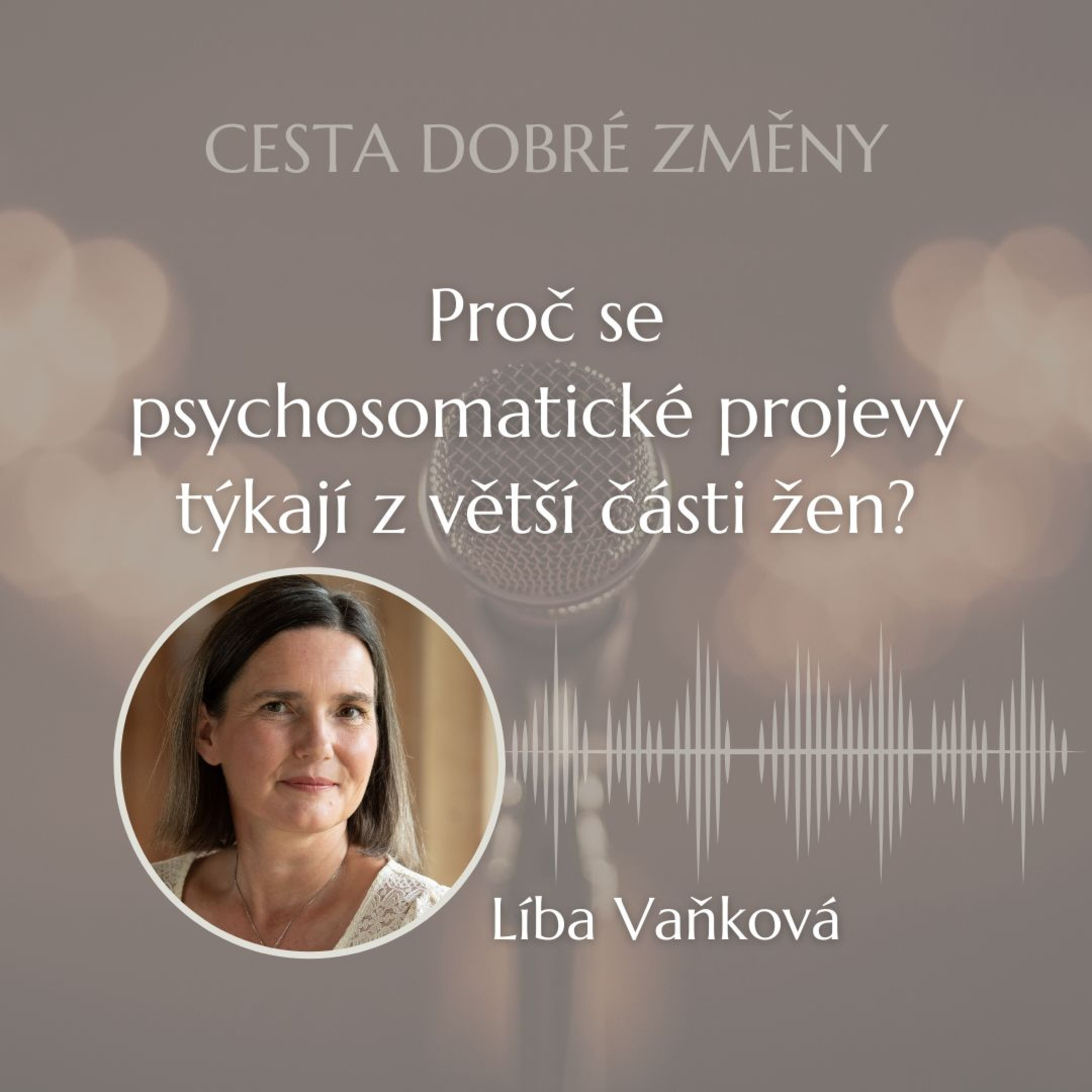 Cesta Dobré Změny