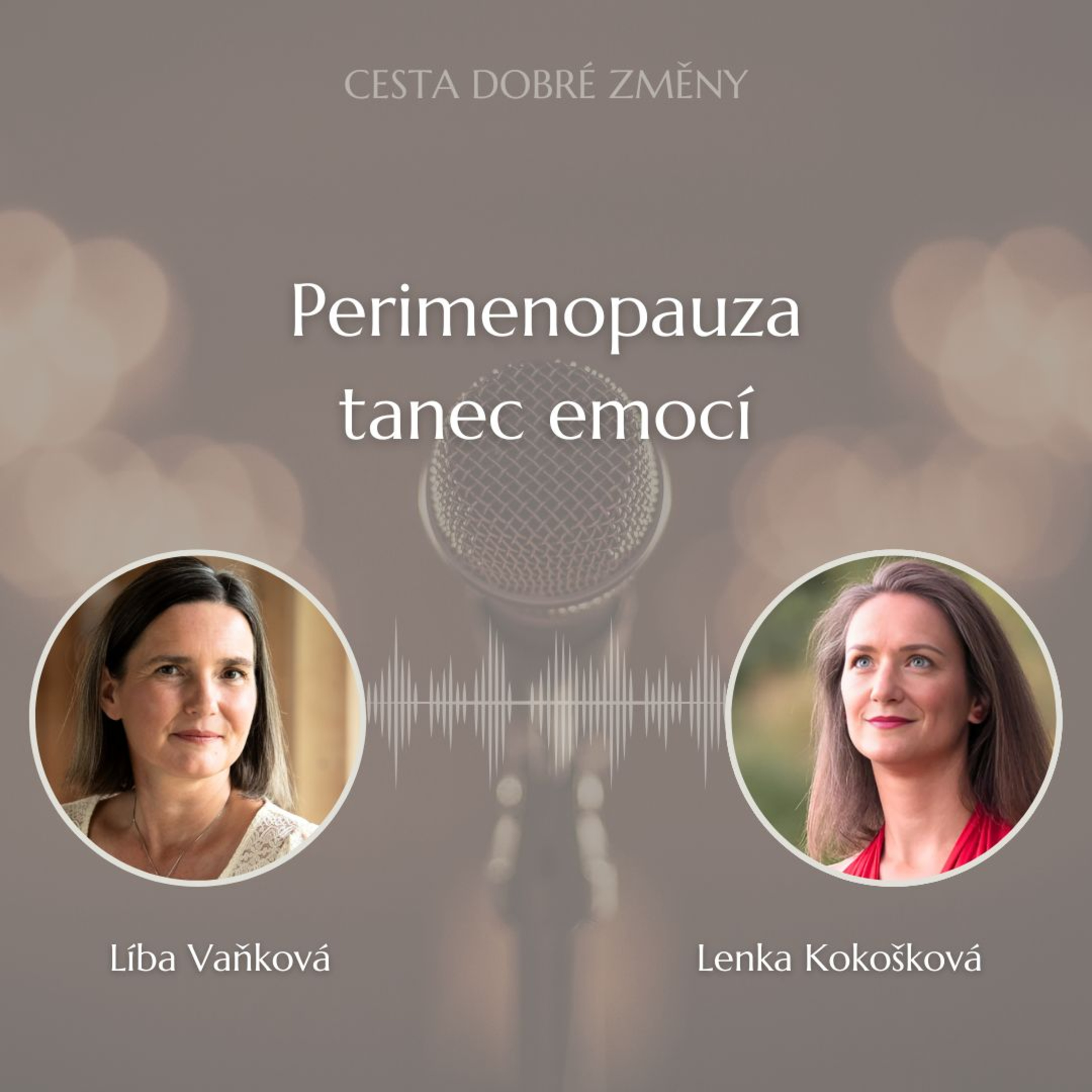 Cesta Dobré Změny