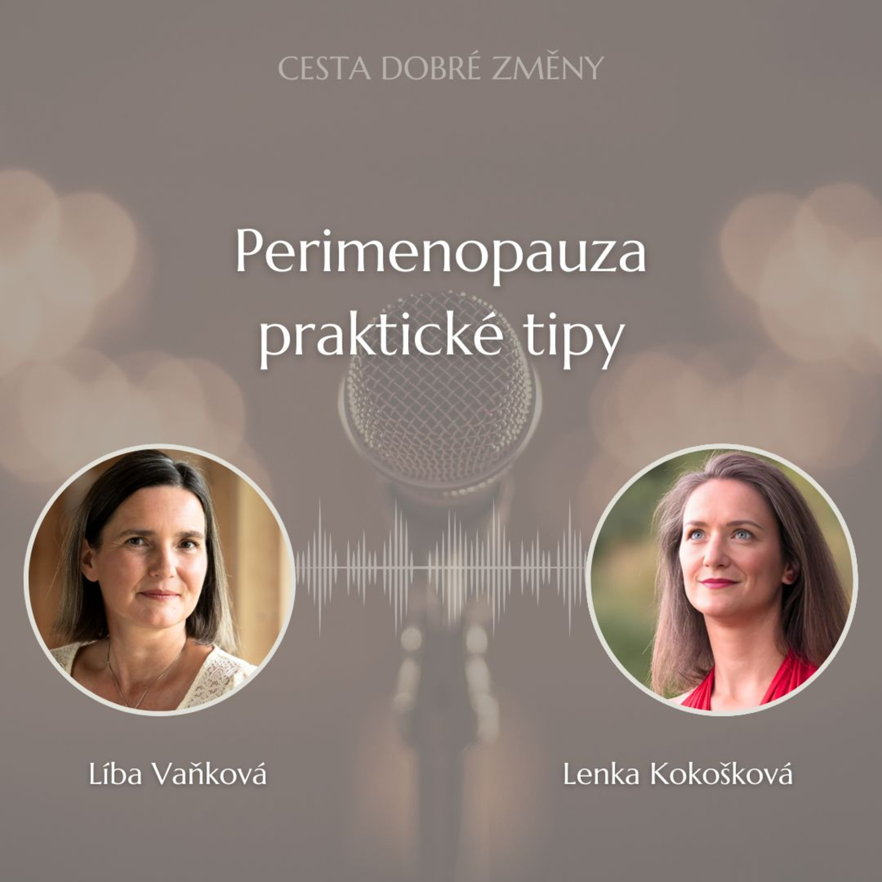 Cesta Dobré Změny