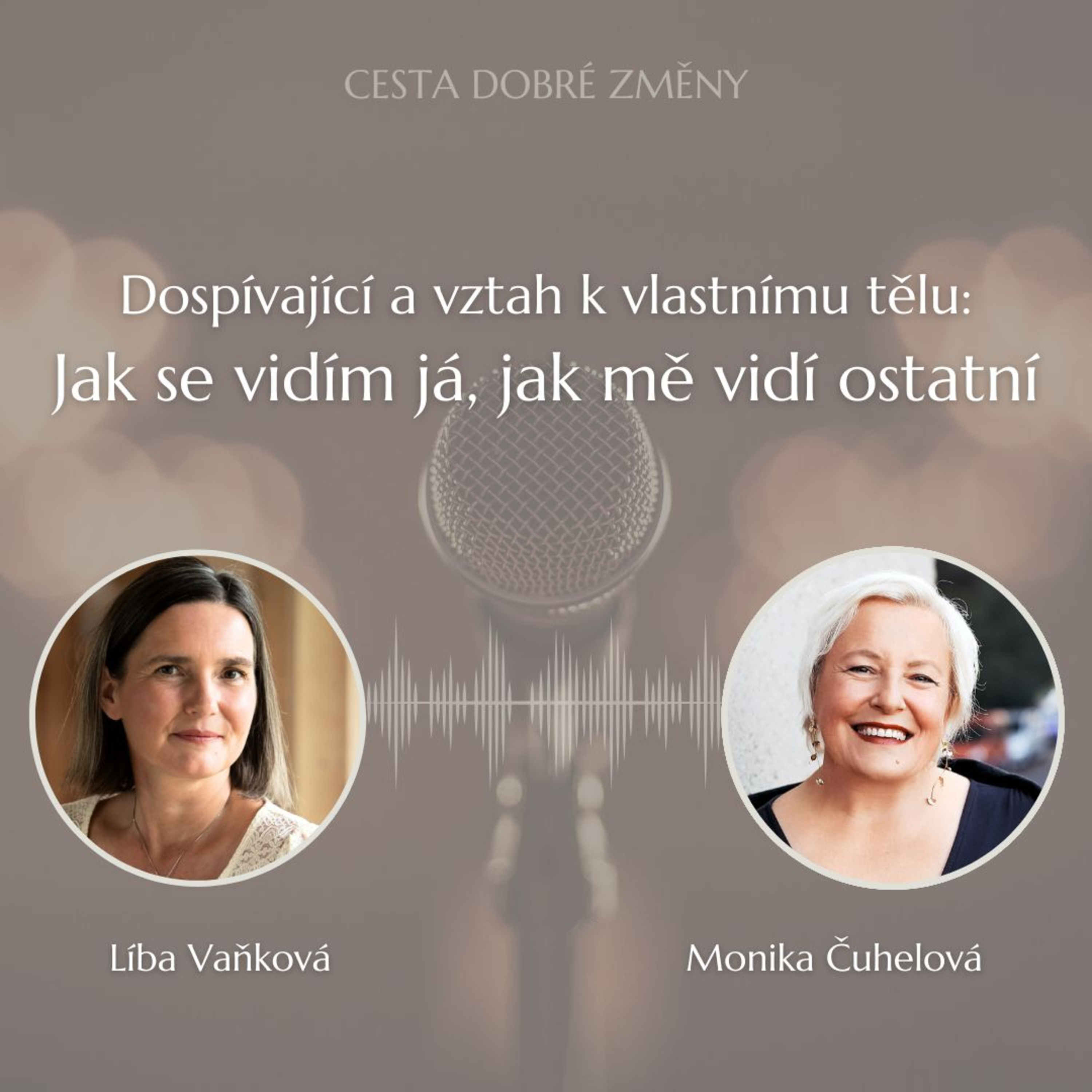Dospívající a vztah k vlastnímu tělu: Jak se vidím já, jak mě vidí ostatní - Monika Čuhelová