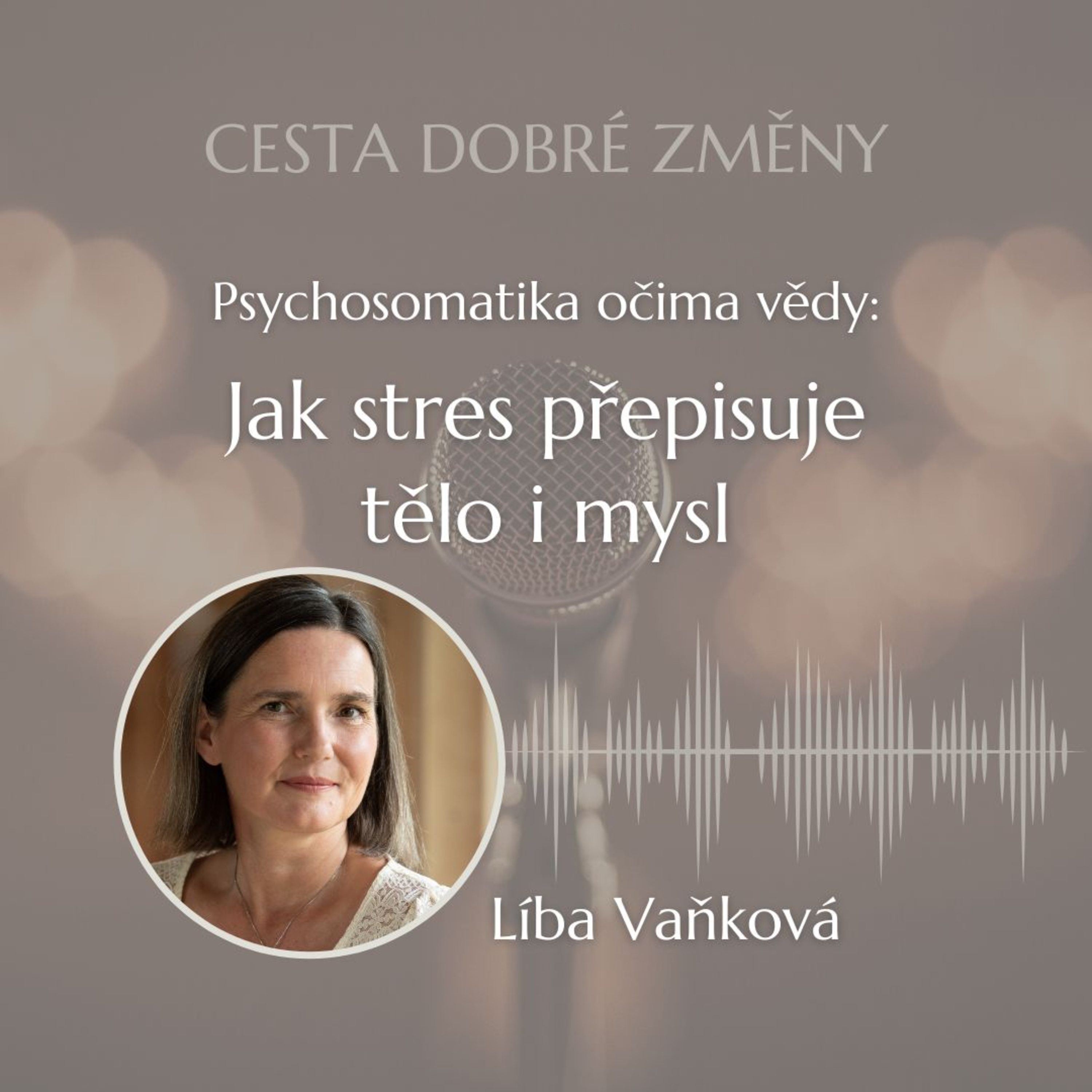 Cesta Dobré Změny