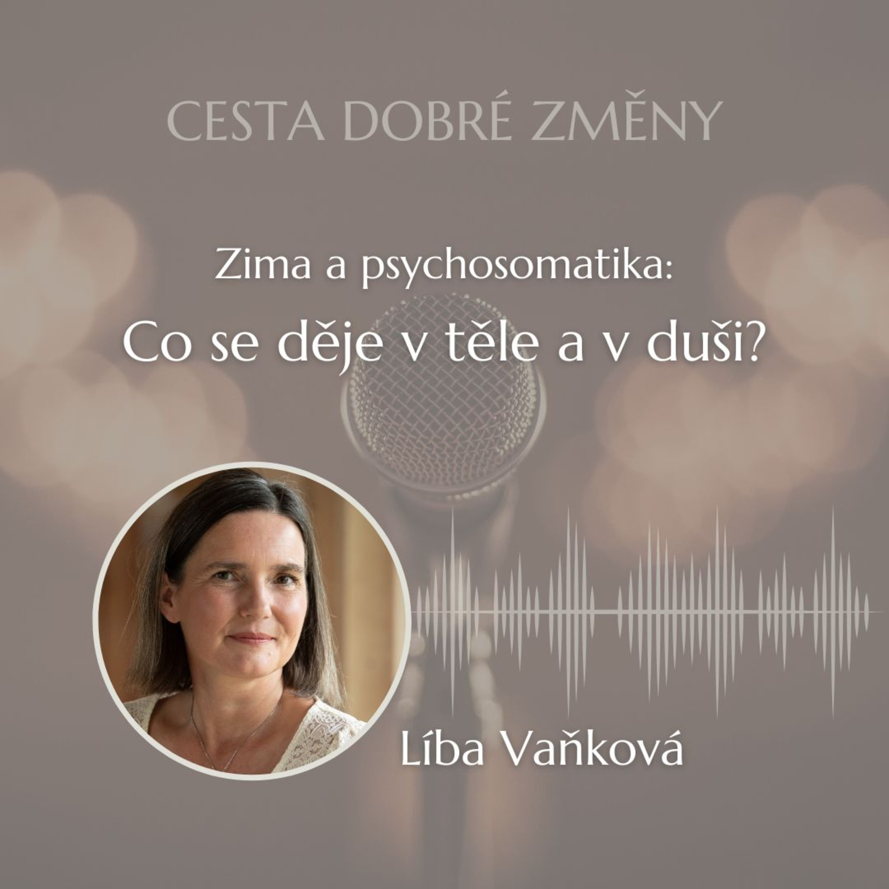 Cesta Dobré Změny