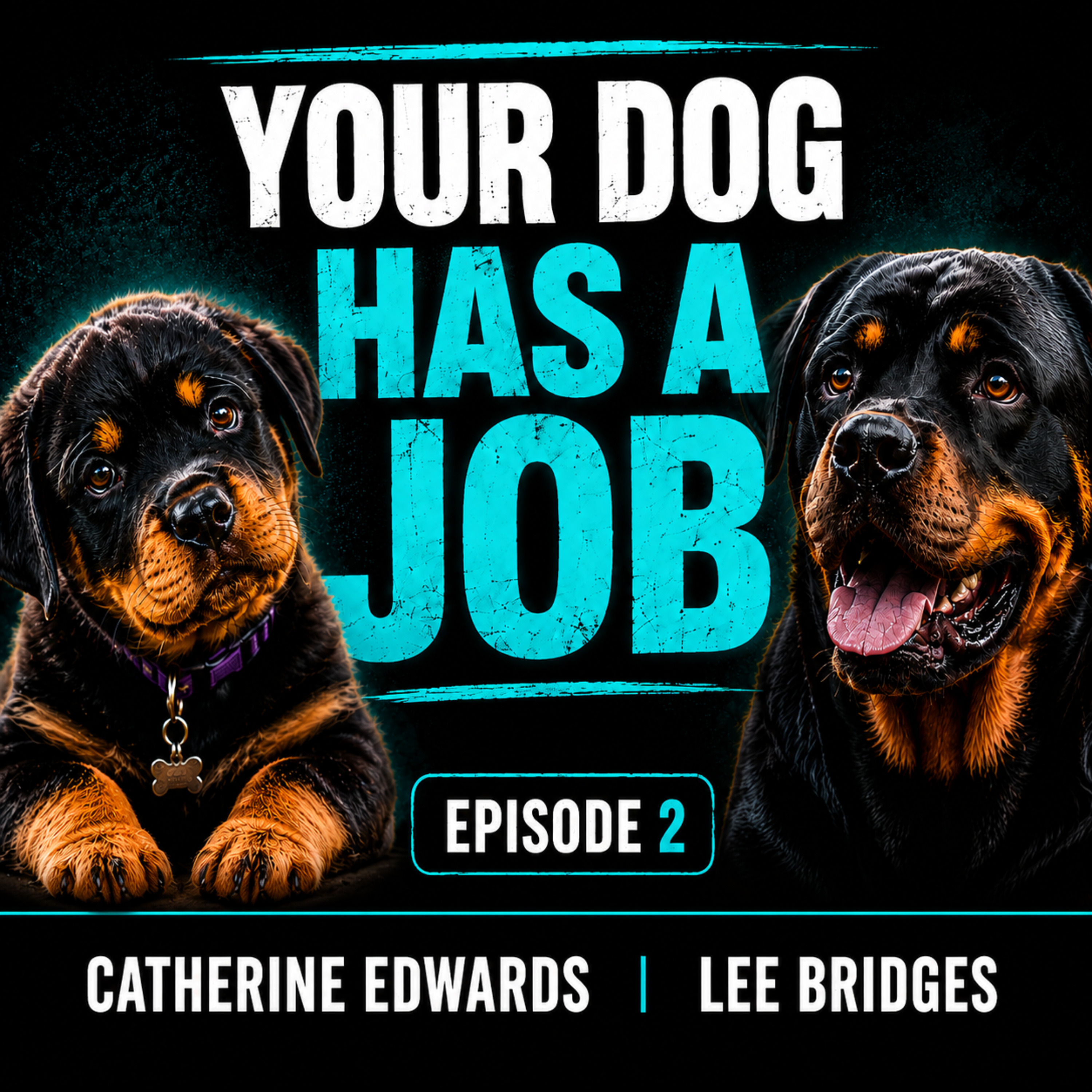 #166 The Secret To A Happier Dog: Understanding What They Were Bred To Do episode artwork