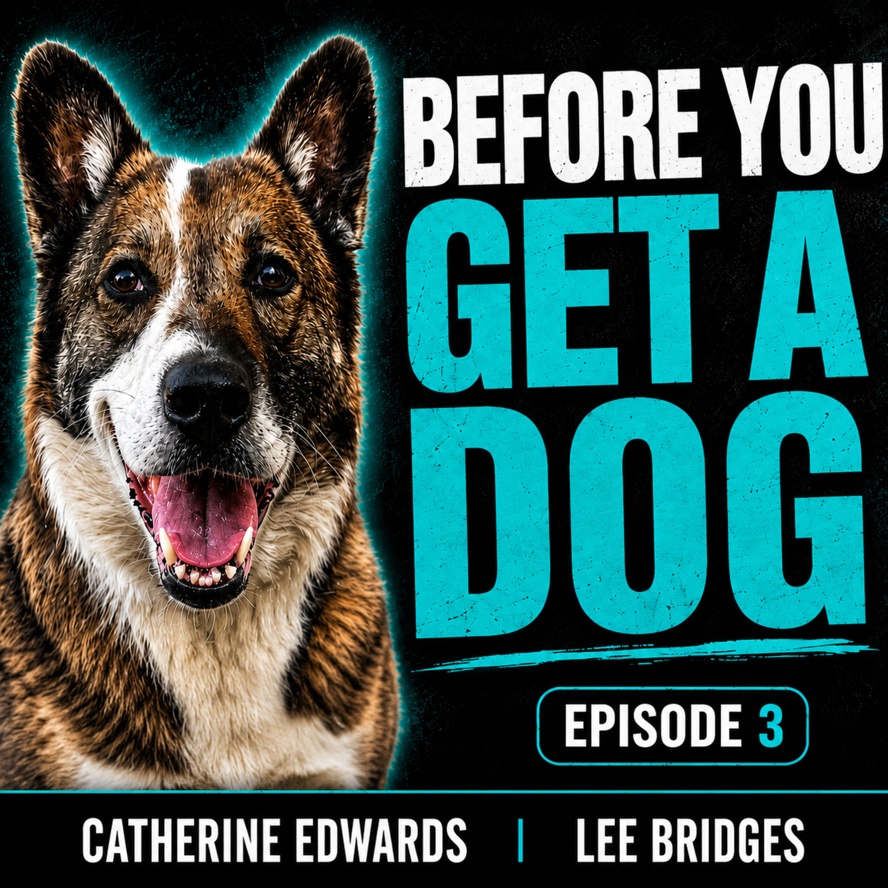 #170 Thinking of Getting a Dog? Watch This First. episode artwork