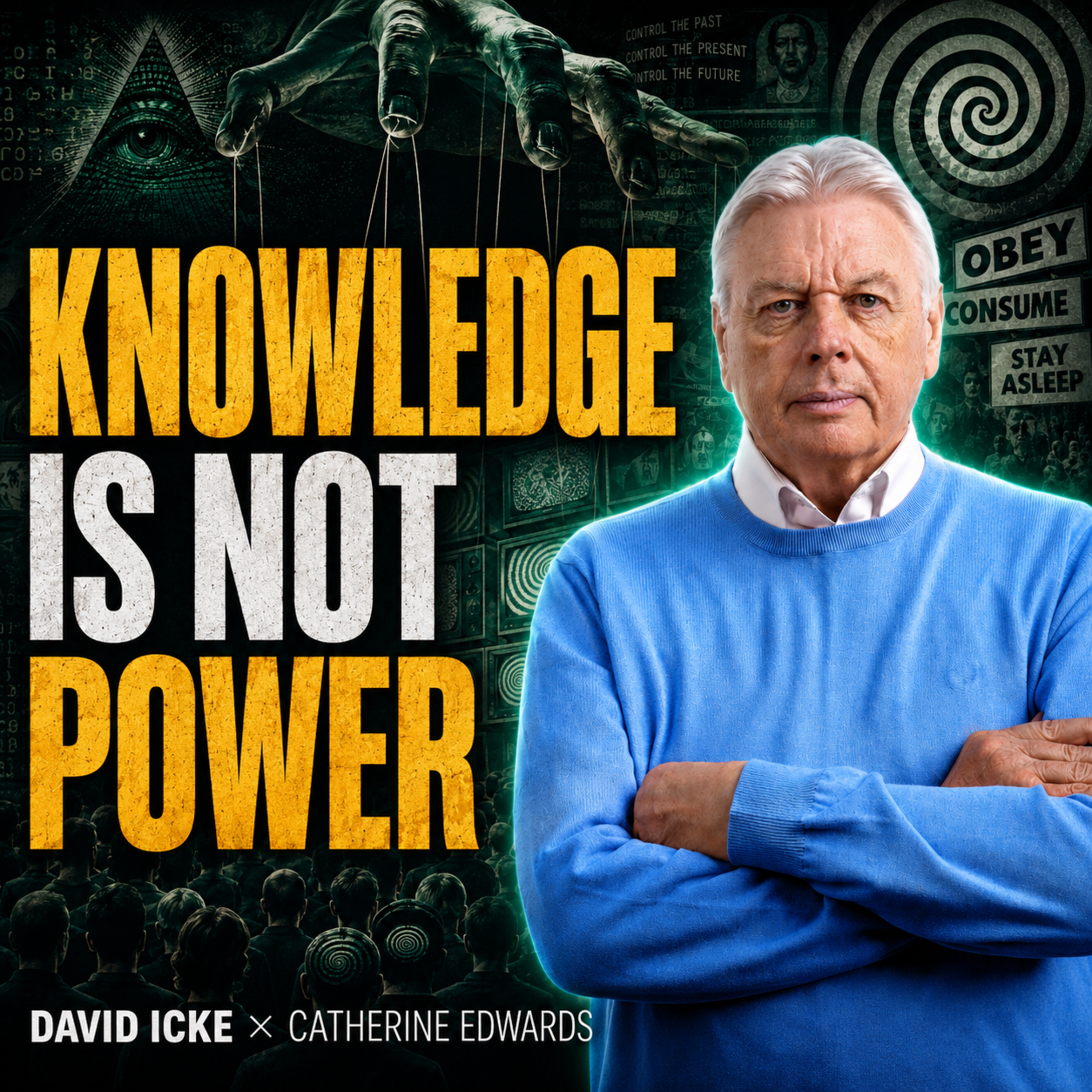 #172 David Icke: Why Knowing the Truth Still Won’t Set You Free episode artwork