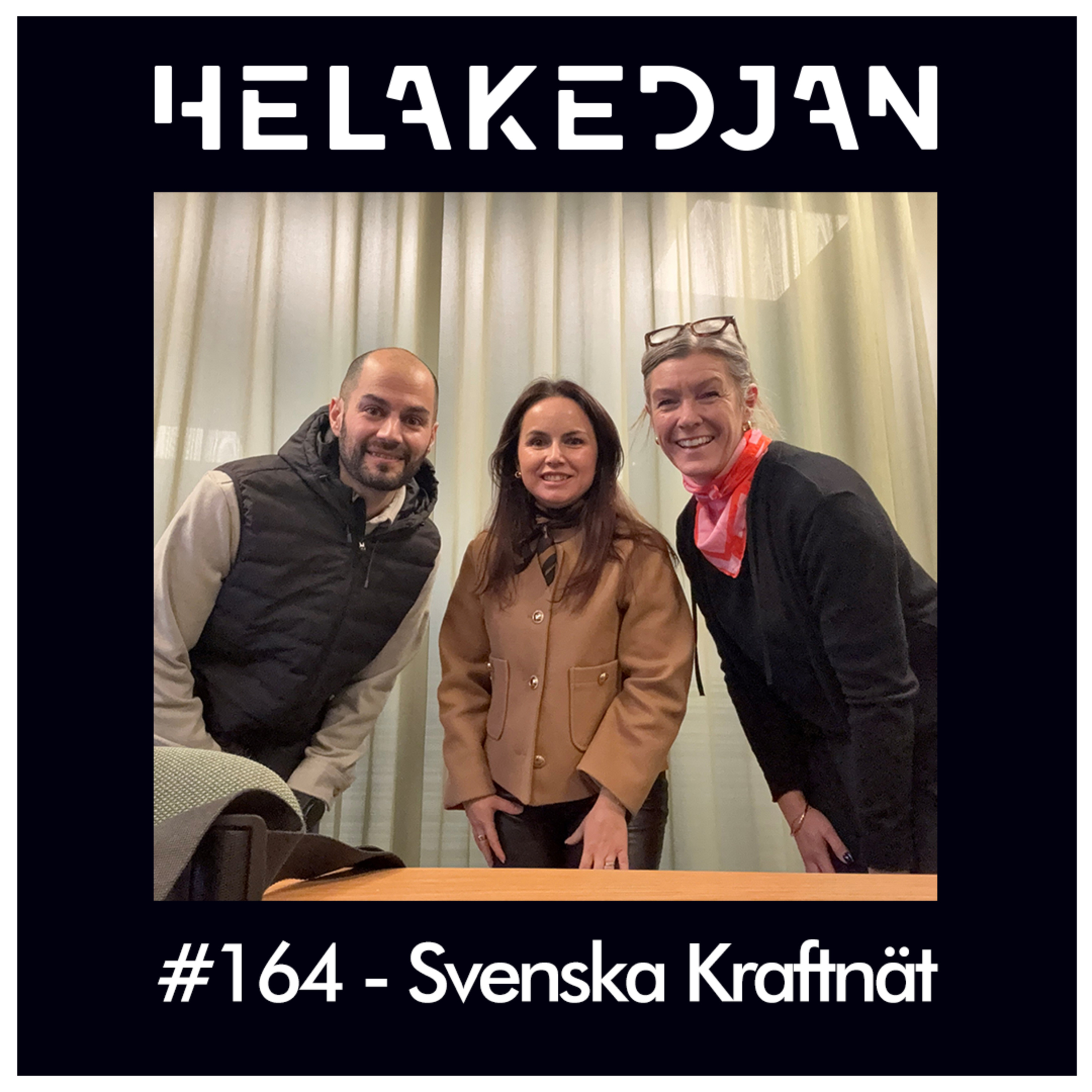 #164 - Svenska Kraftnät