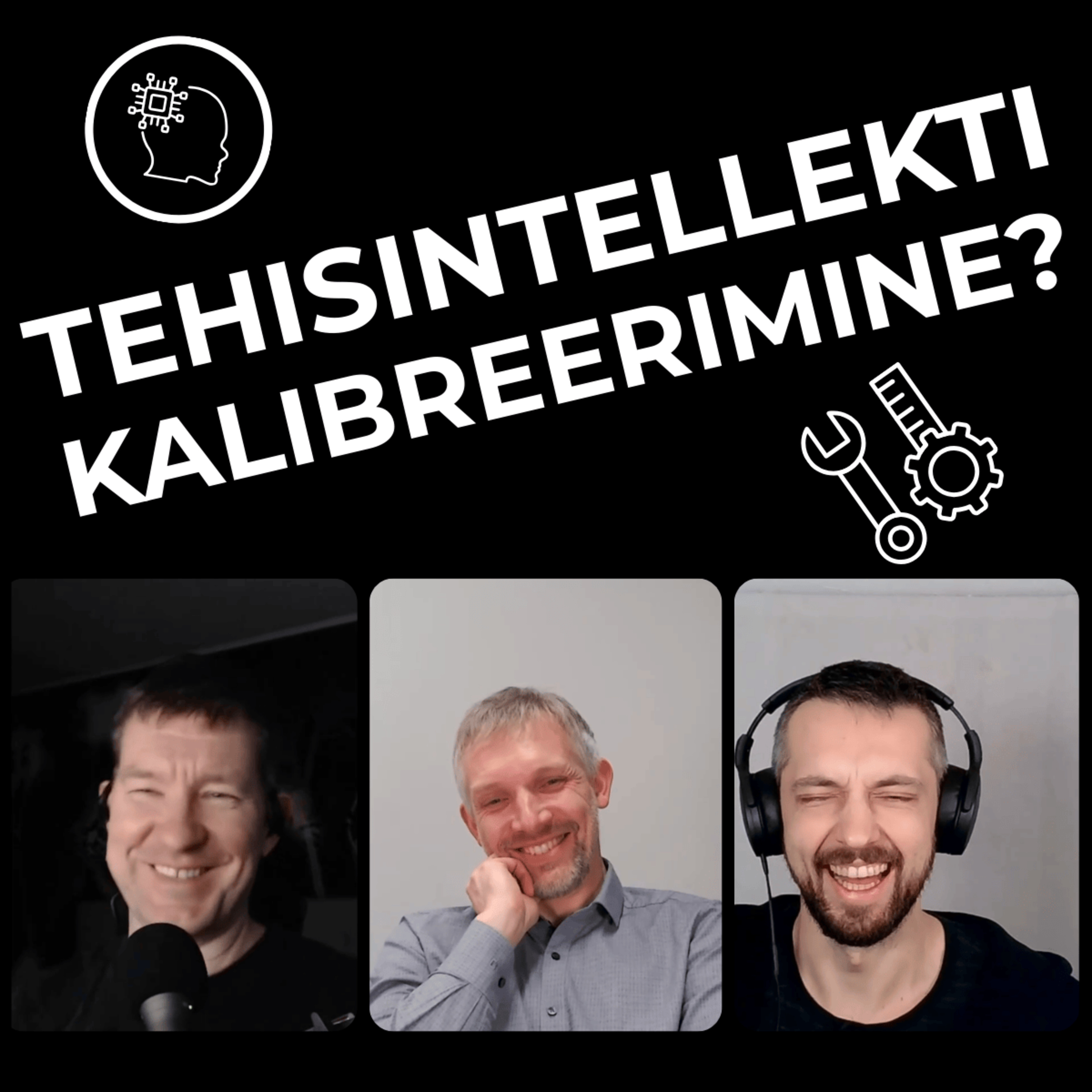 #069 | Meelis Kull: tehisaru intellektuaalses võimekuses on pöörased hüpped episode artwork