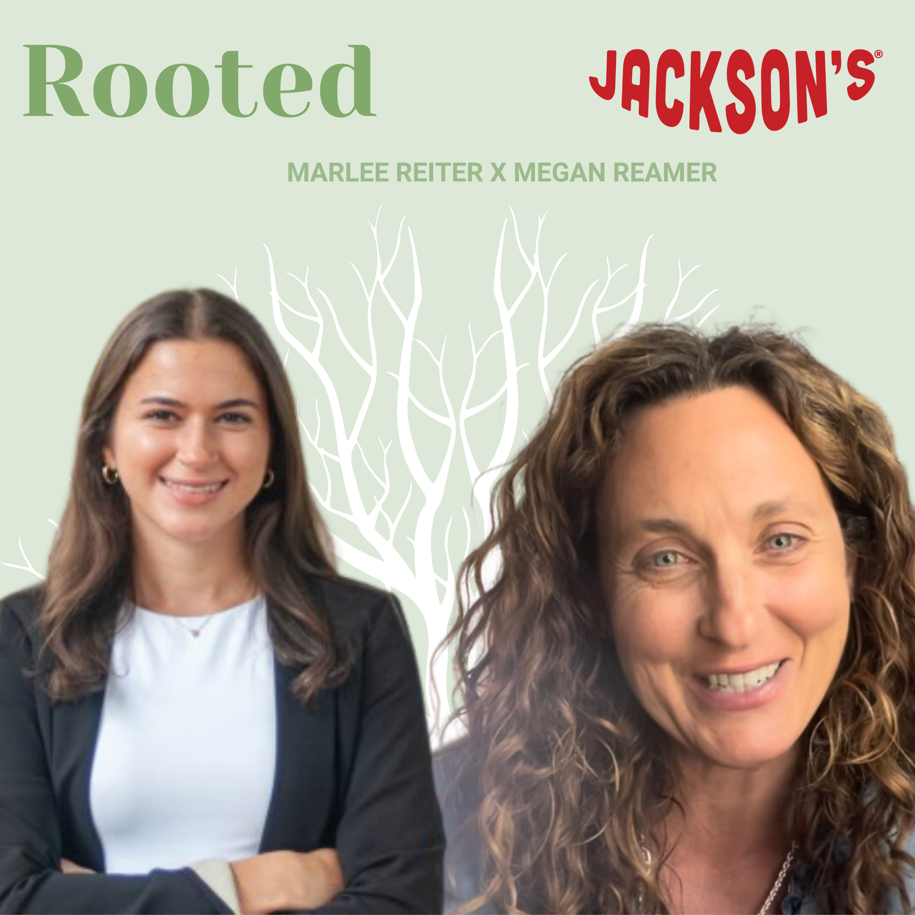 Rooted