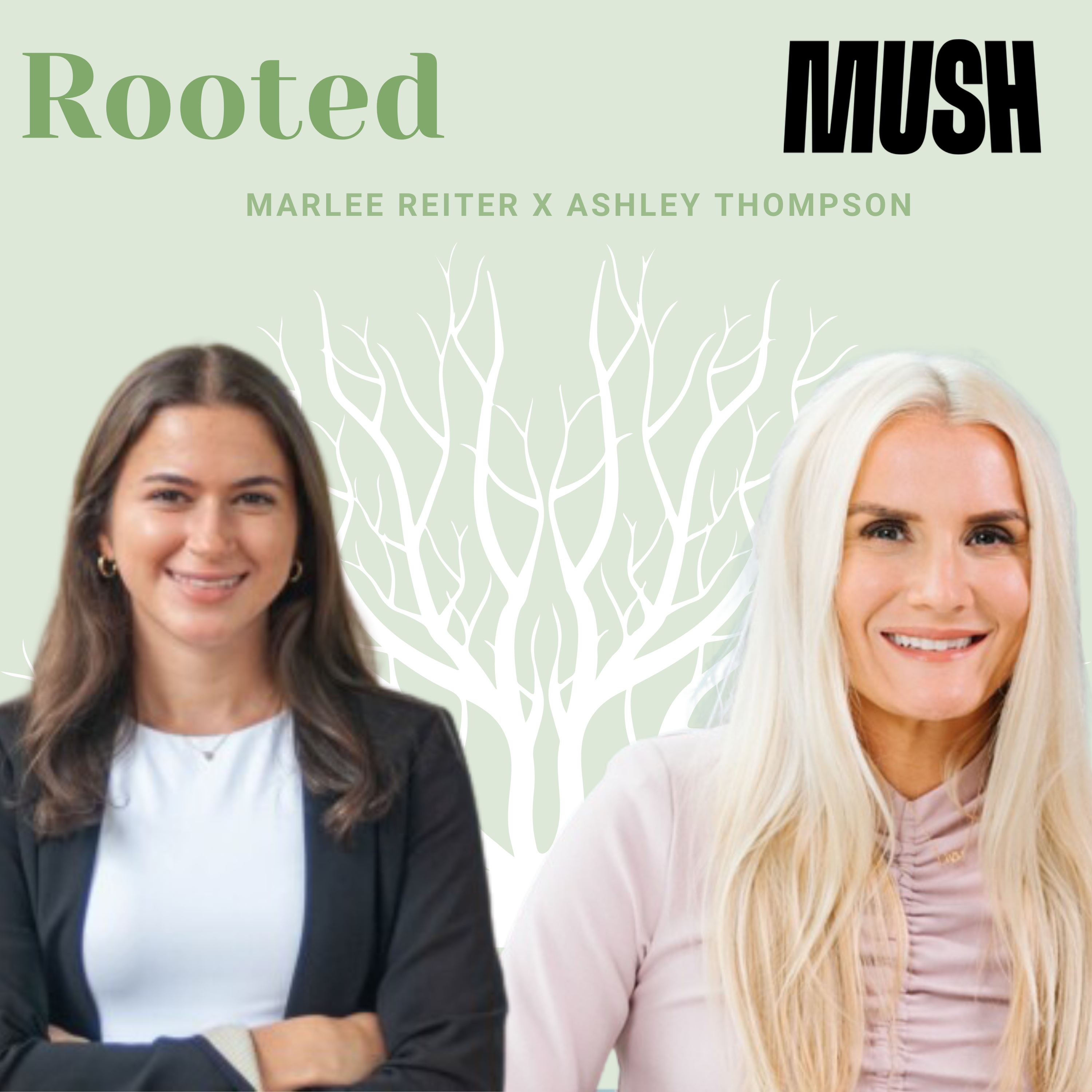 Rooted