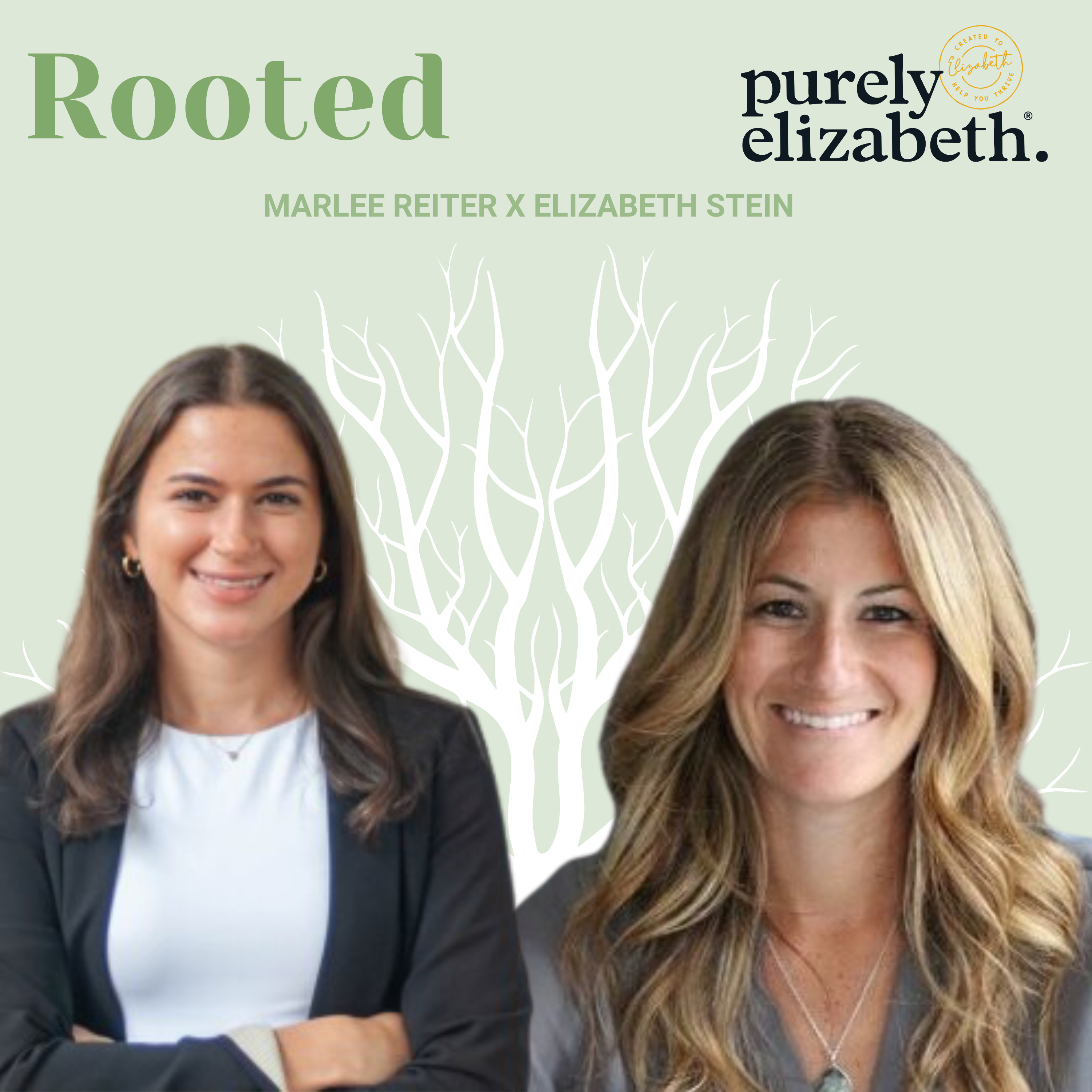 Rooted