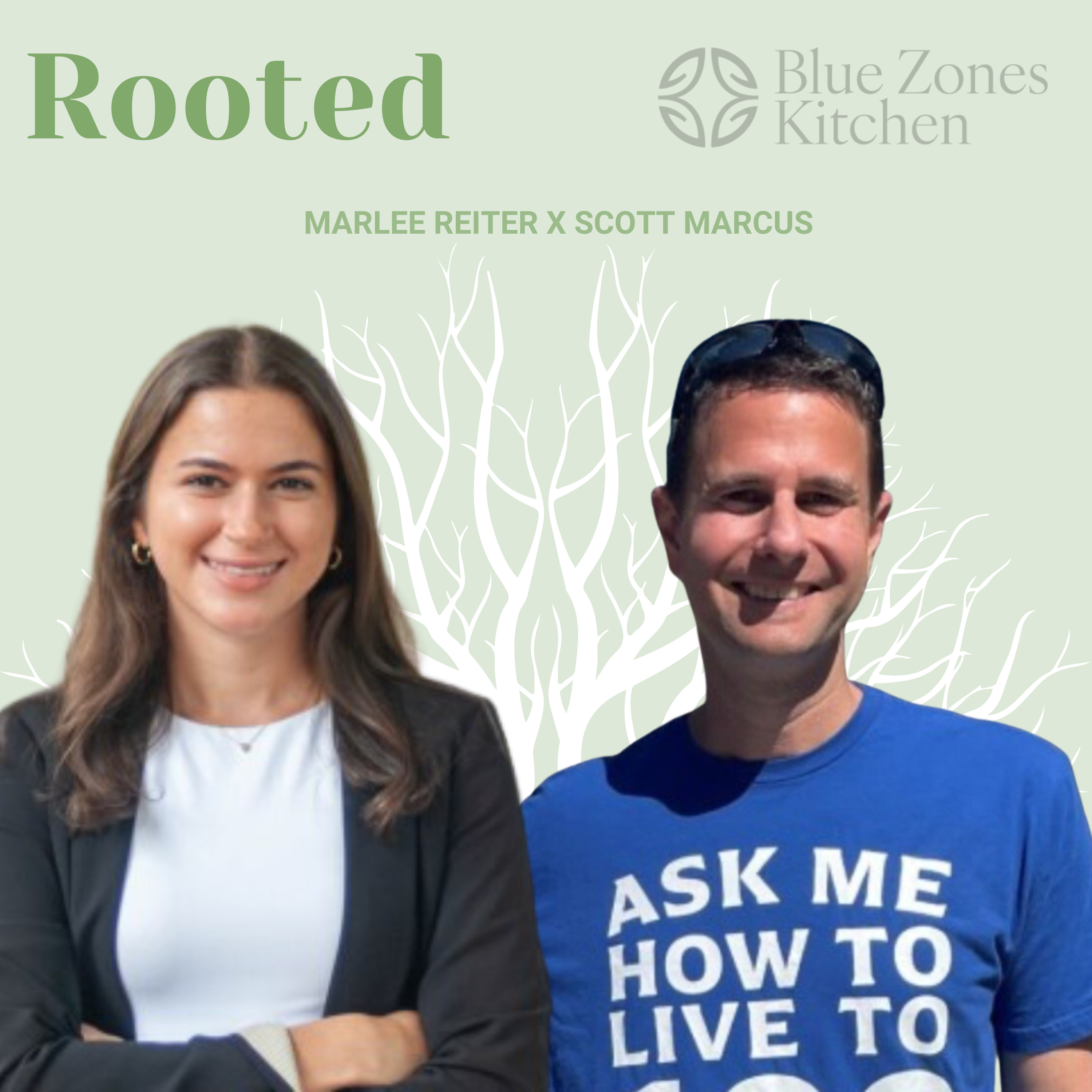 Rooted