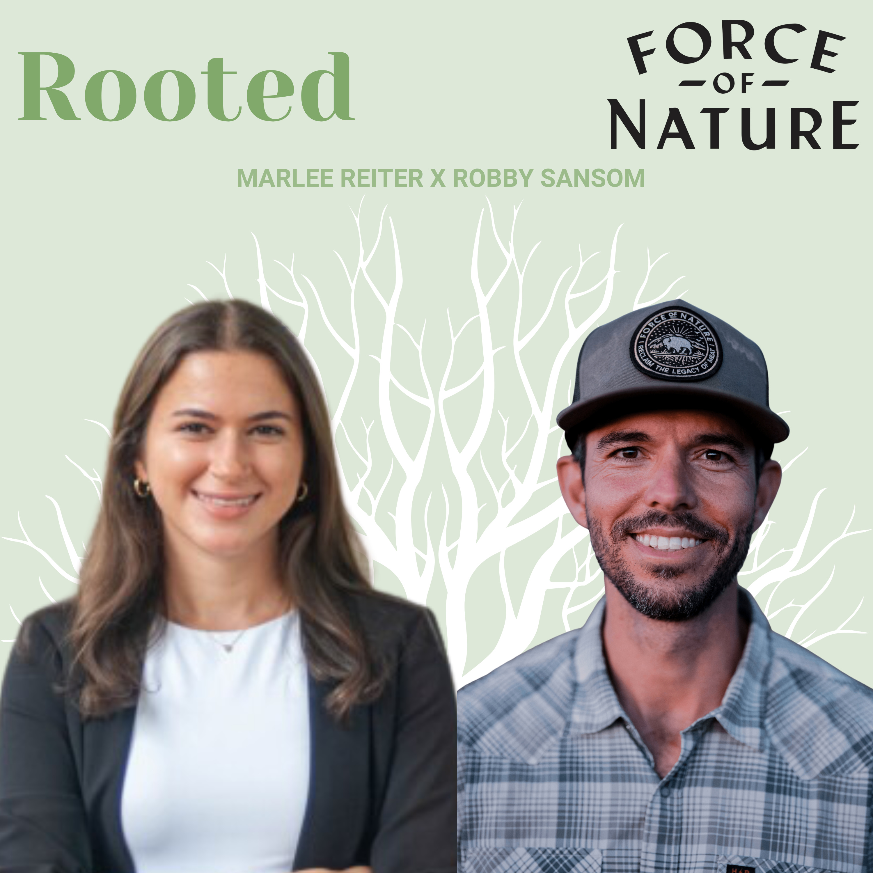 Rooted