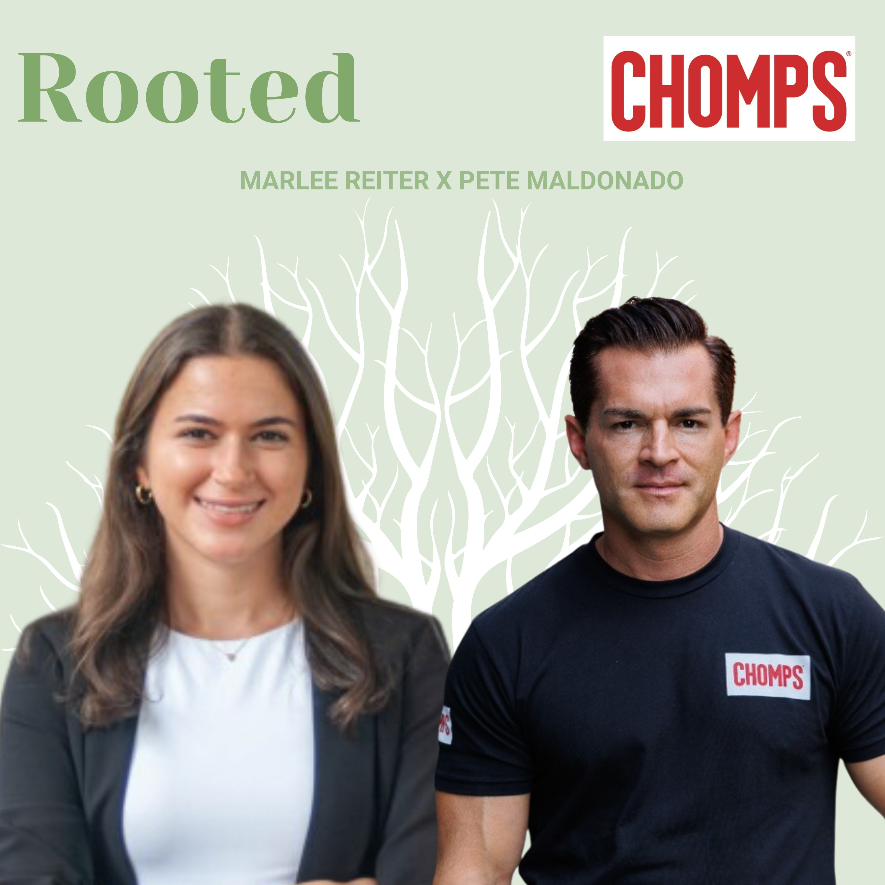 Rooted