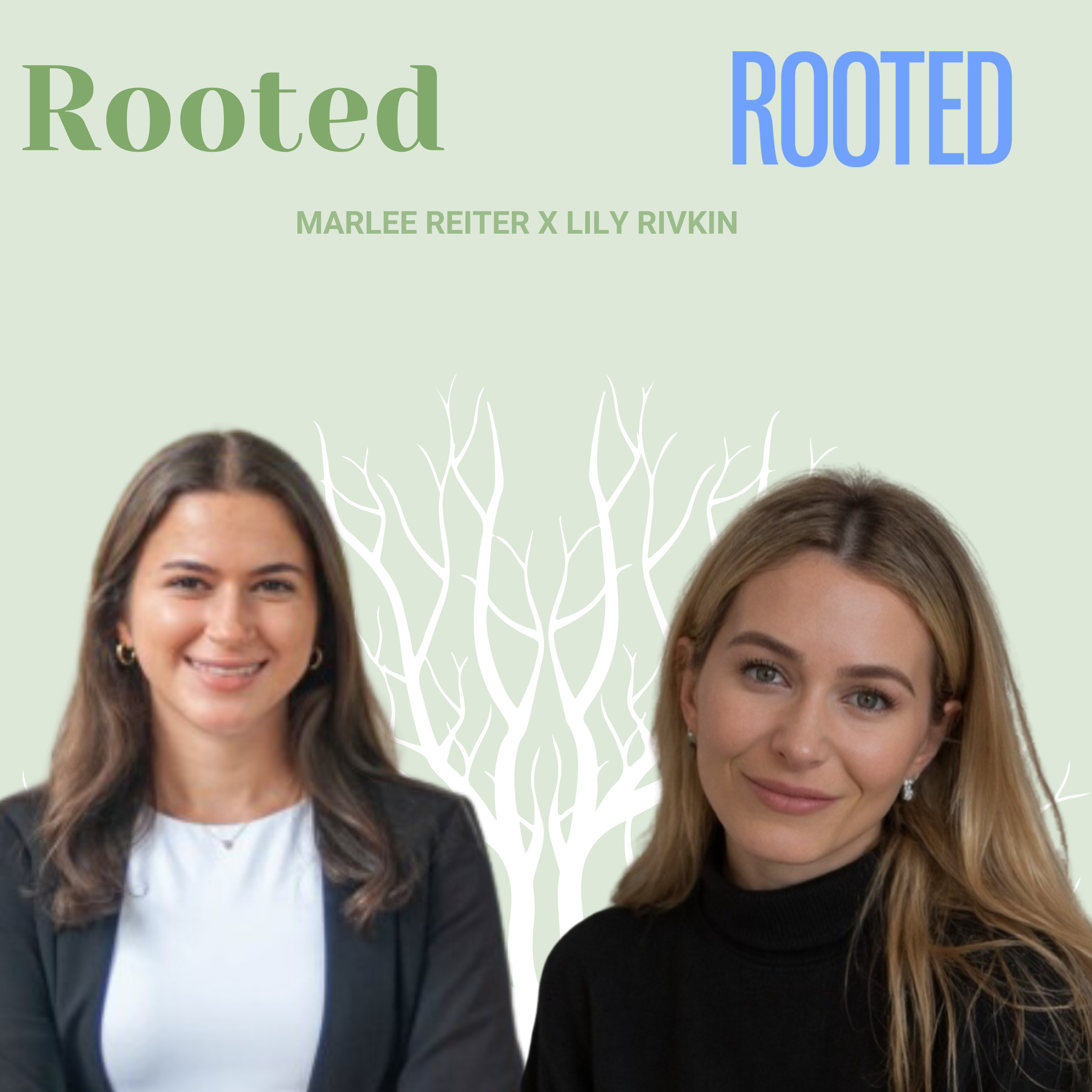 Rooted
