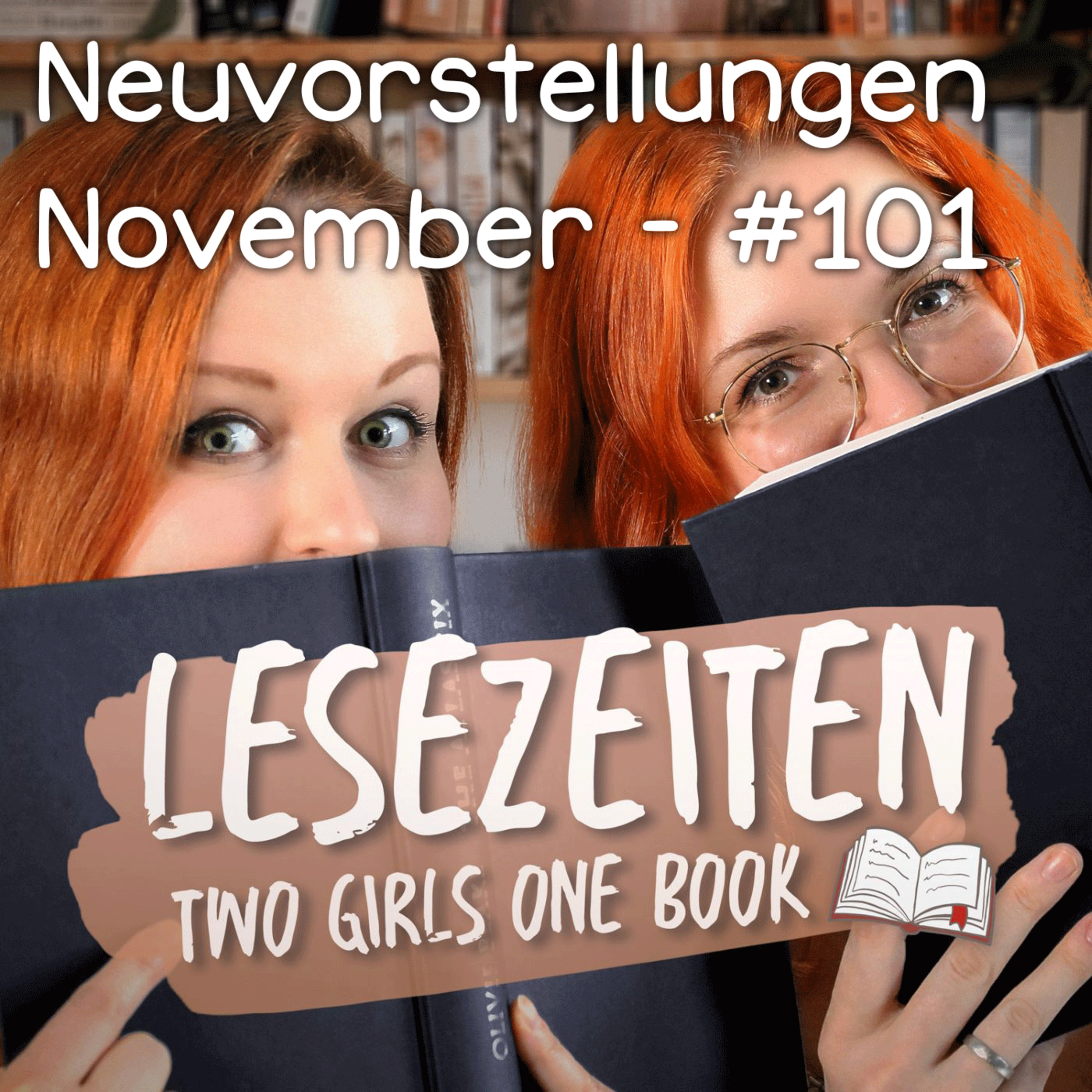 Neuvorstellungen November - #101 episode artwork