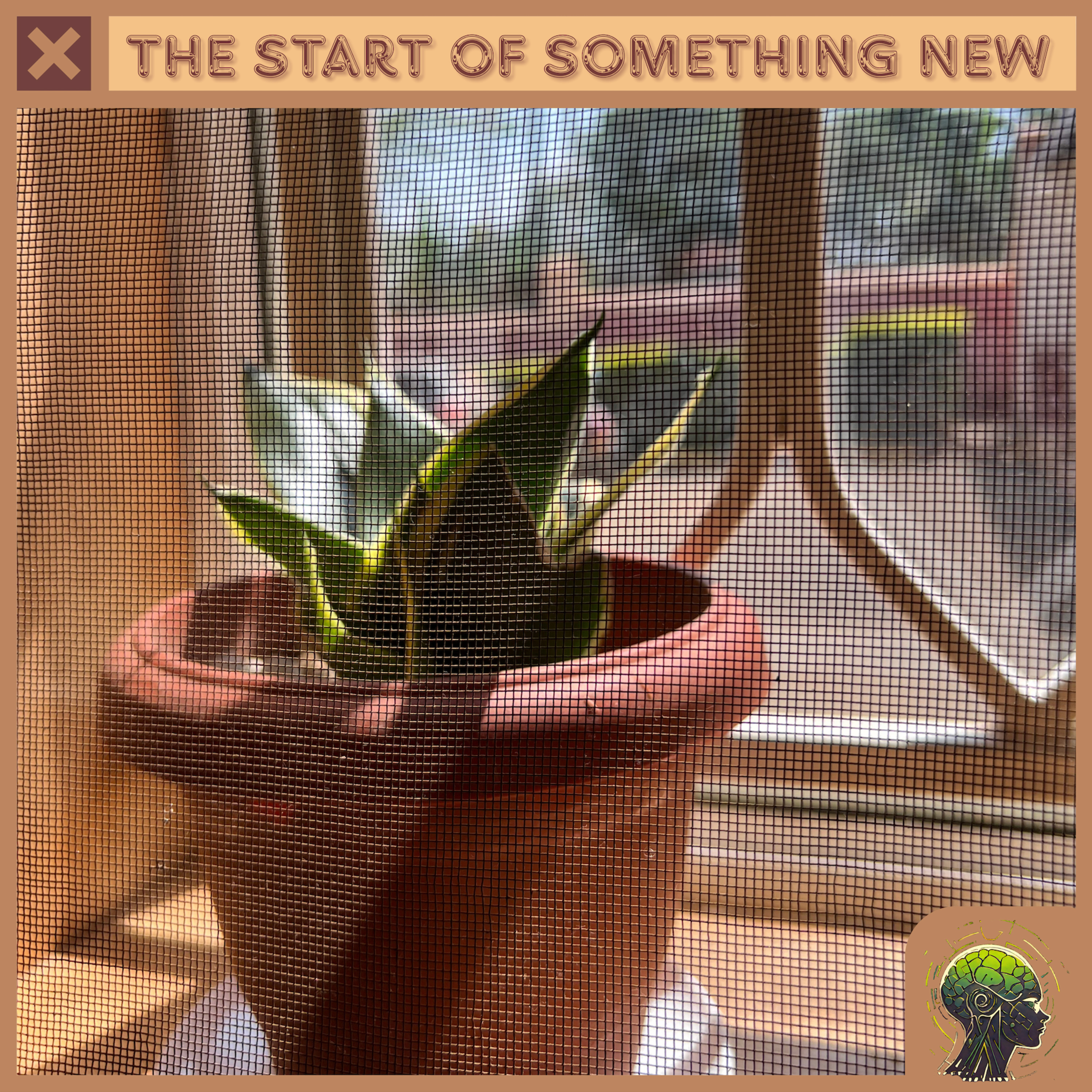 The Start of Something New episode artwork