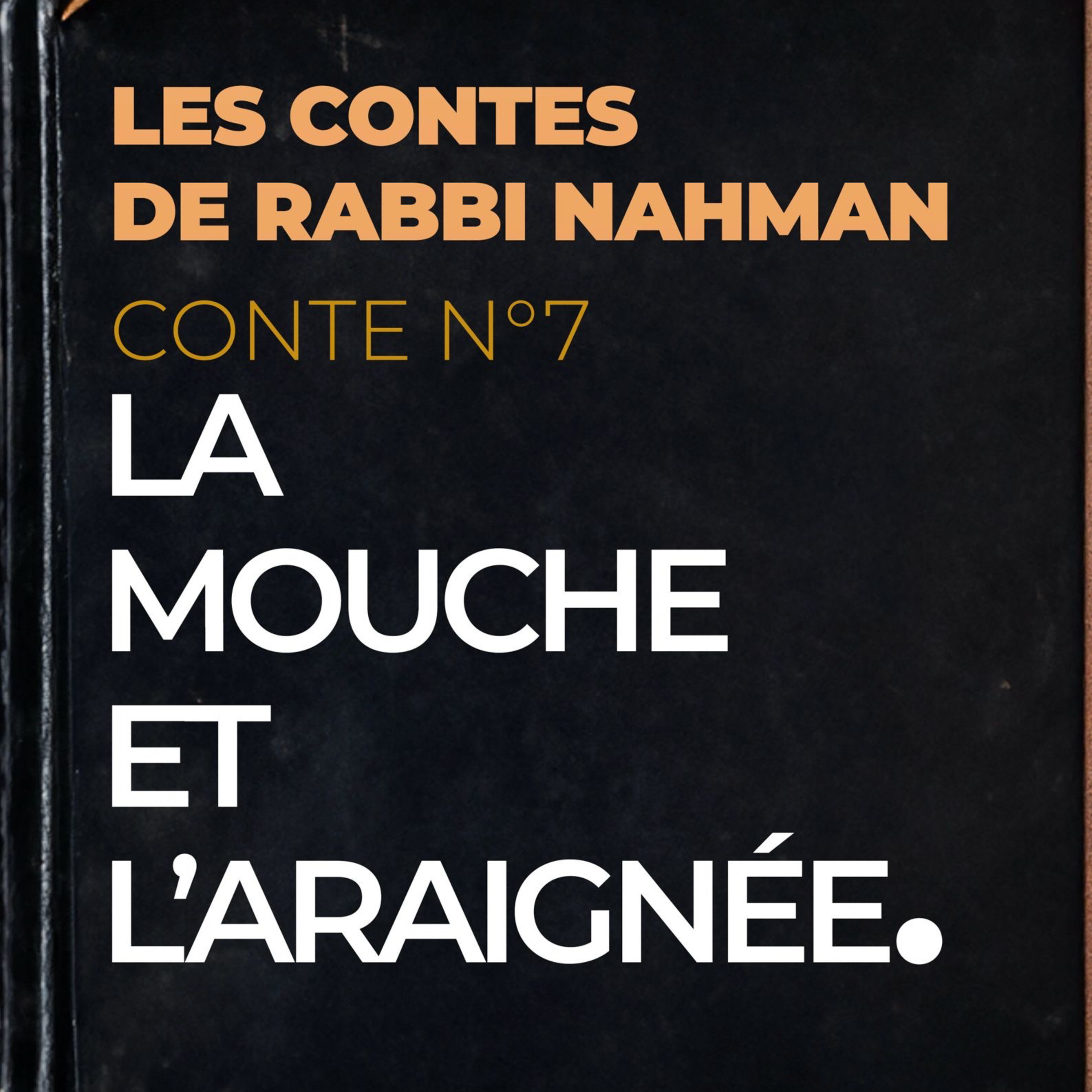 Les Contes de Rabbi Na\'hman - Audiobook