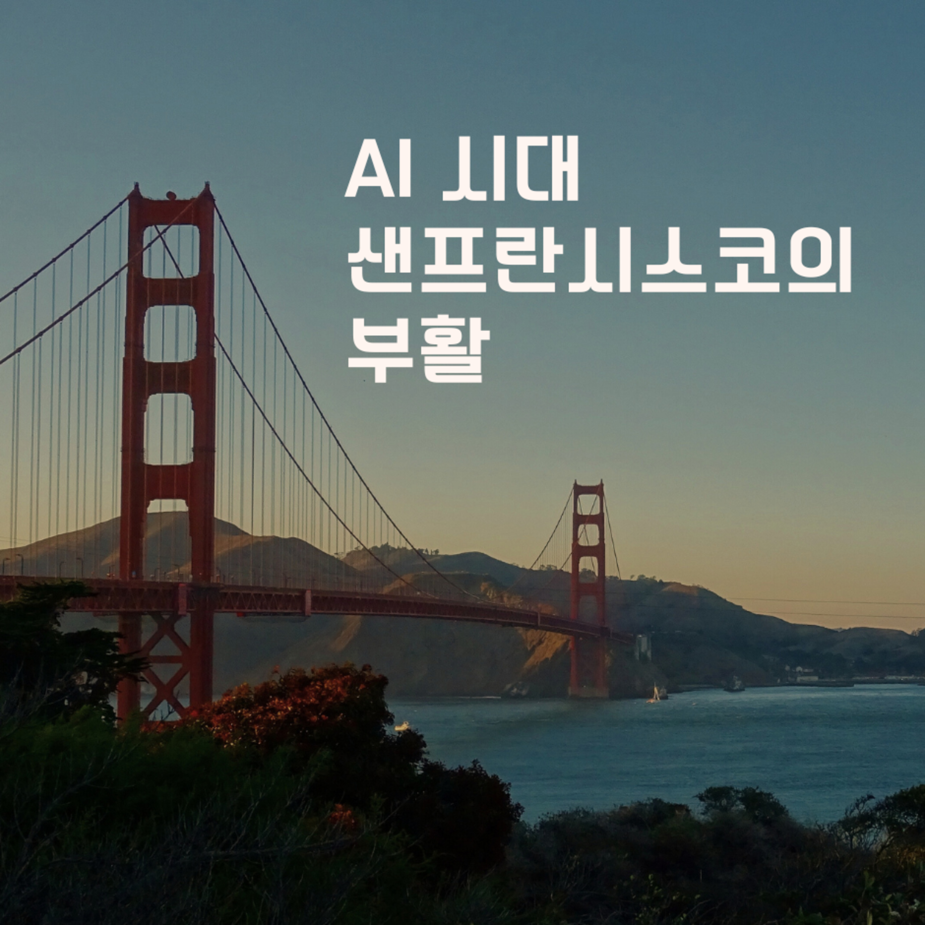 AI 시대 샌프란시스코의 부활 99화 episode artwork