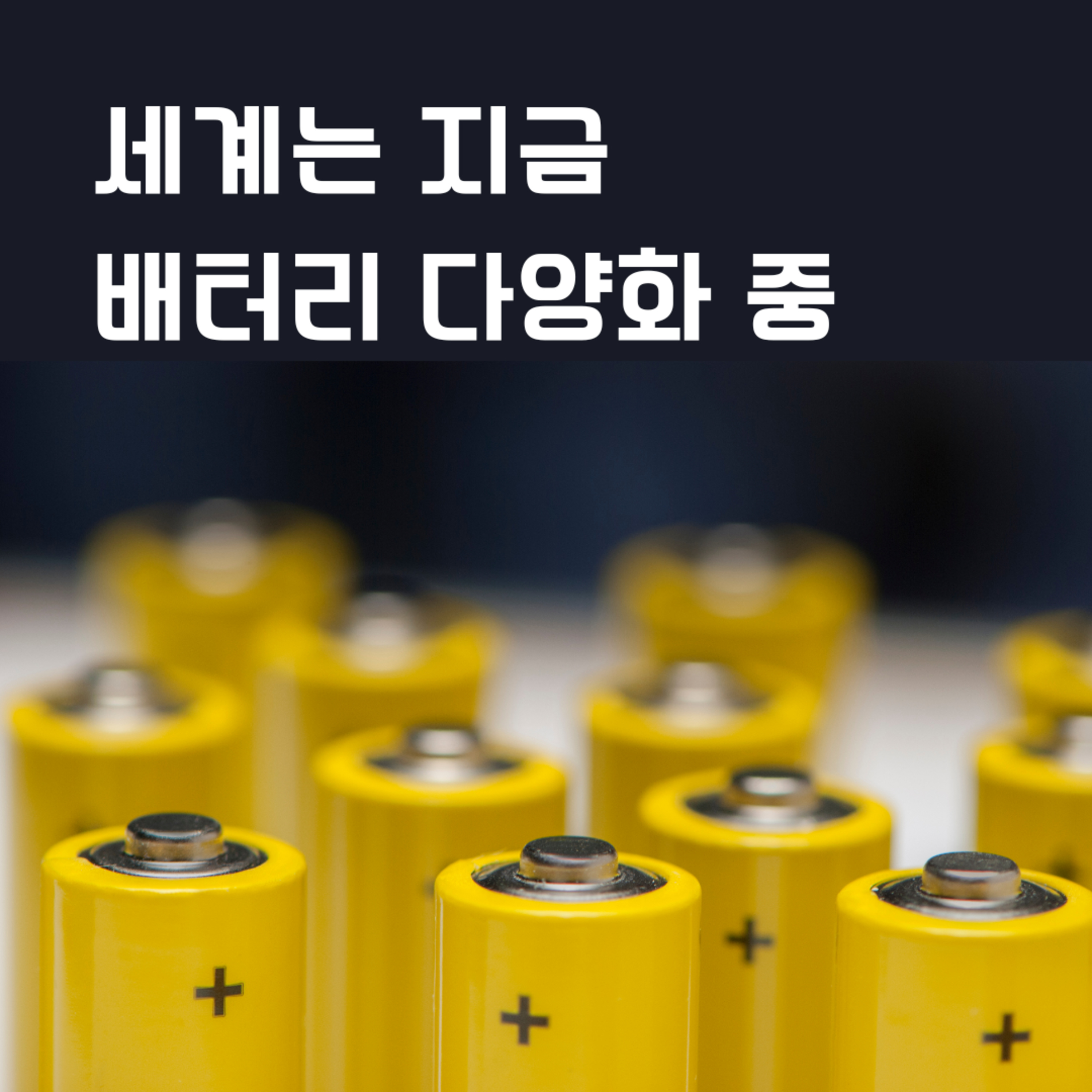 세계는 지금 배터리 다양화 중 80화 episode artwork