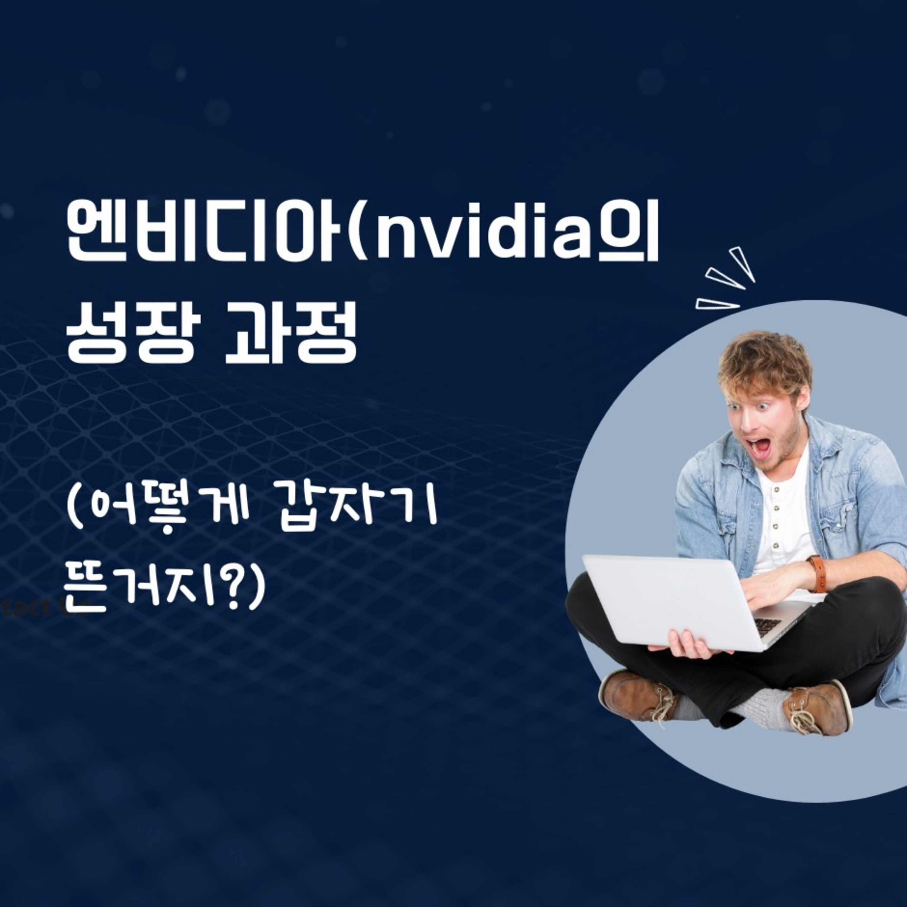 엔비디아의 성장과정 70화 episode artwork