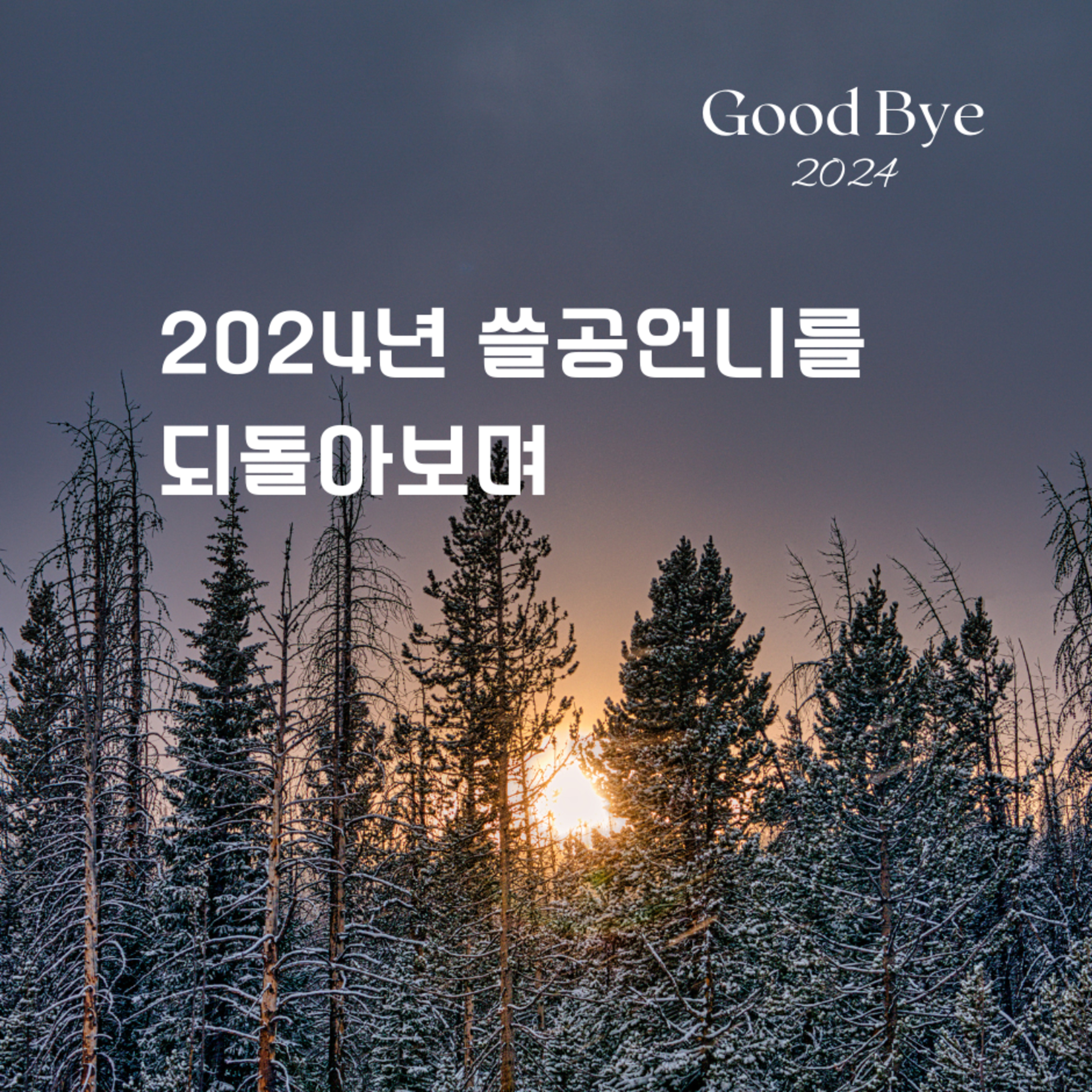 2024년 쓸공언니를 되돌아보며 136화