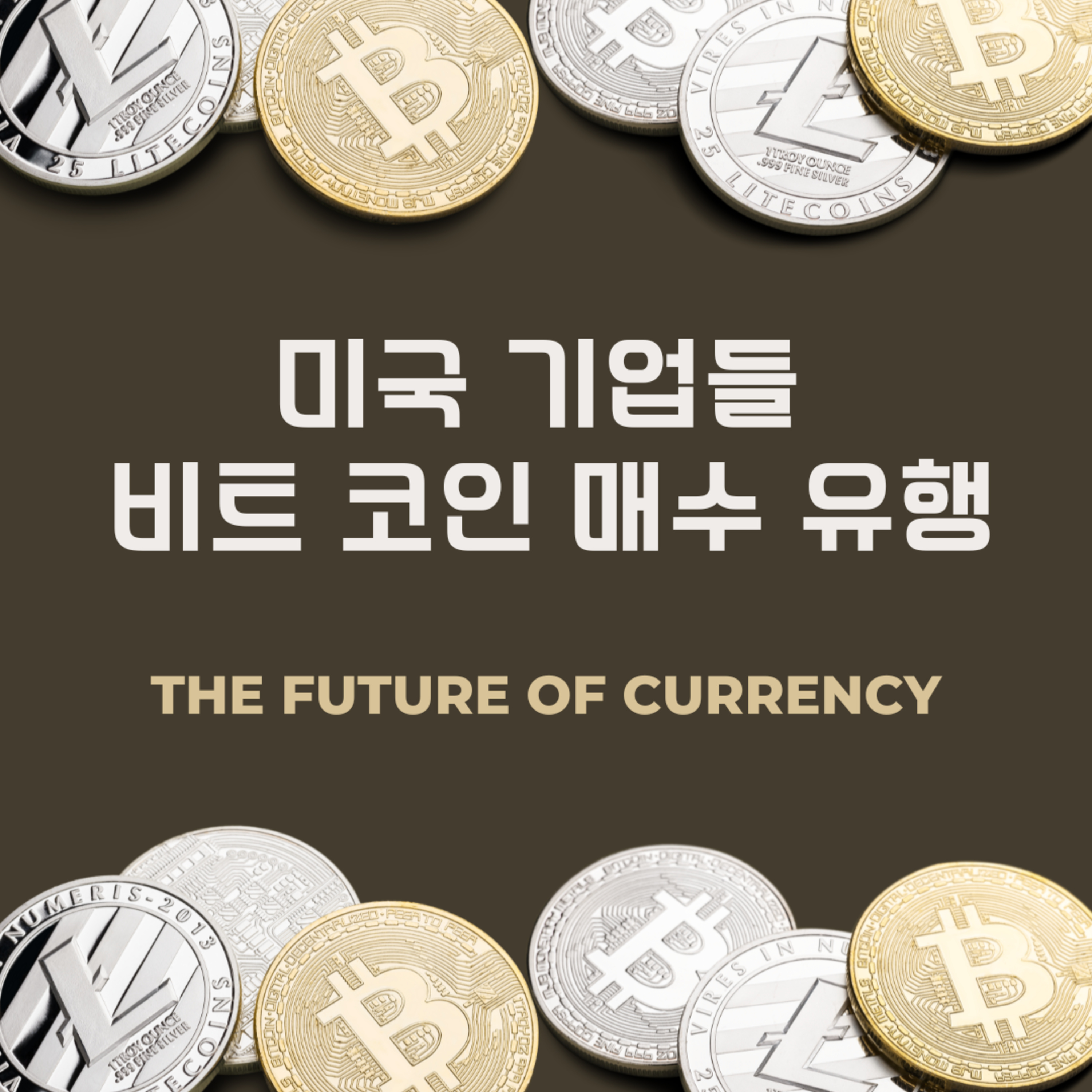 미국 기업들 비트 코인 매수 유행 161화