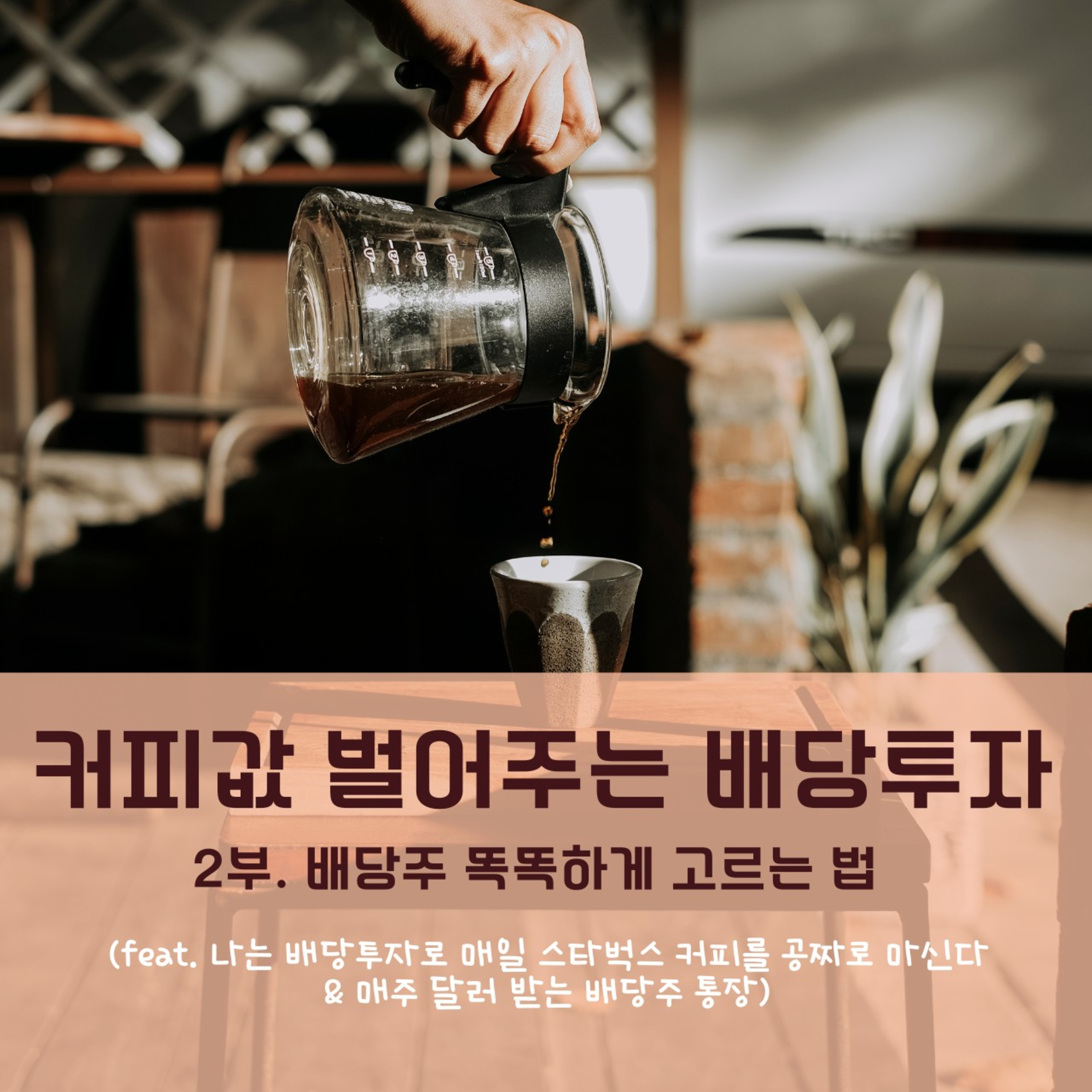 커피값 벌어주는 배당투자! 배당주 똑똑하게 고르는 법 166화
