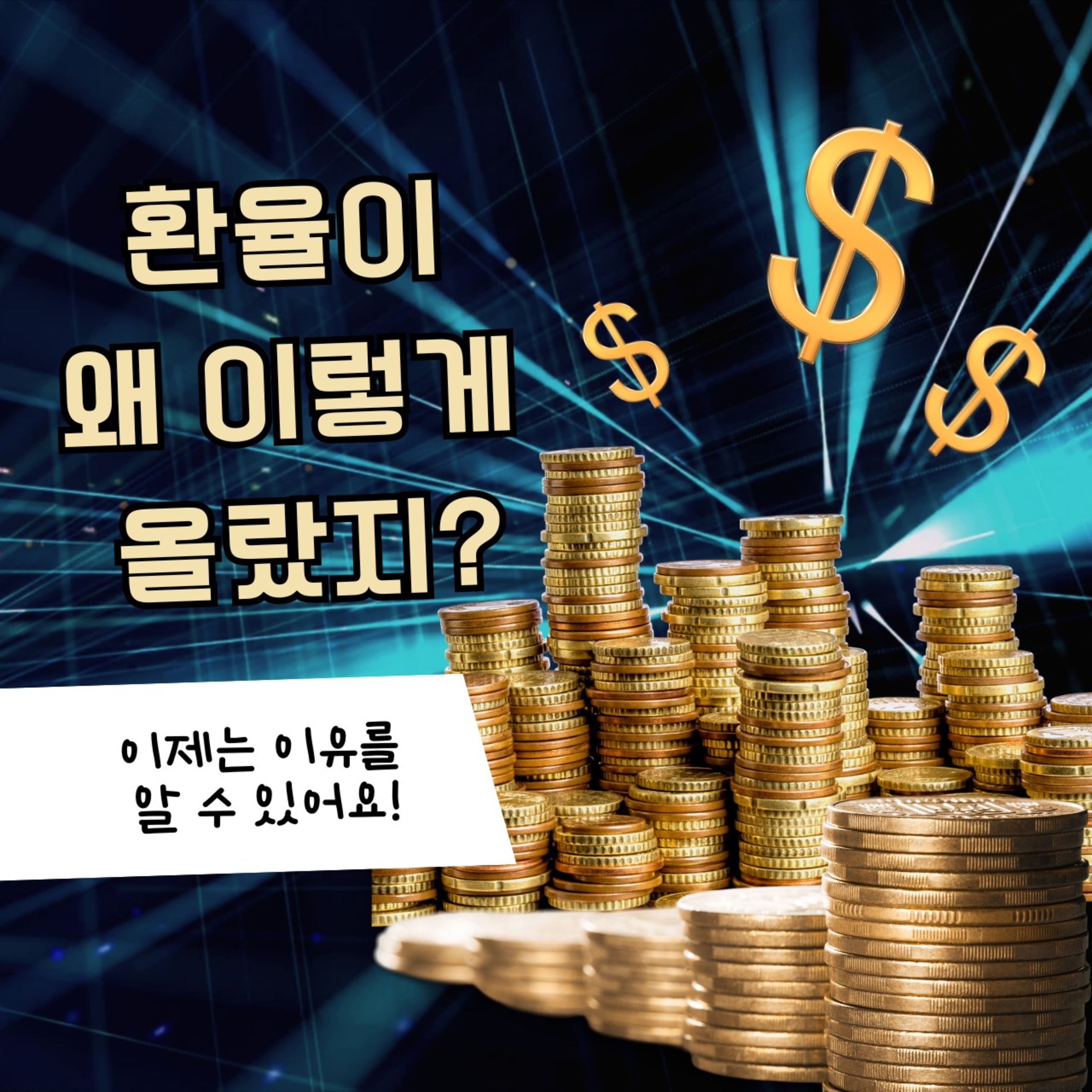 193화. 환율이 왜 올랐지?