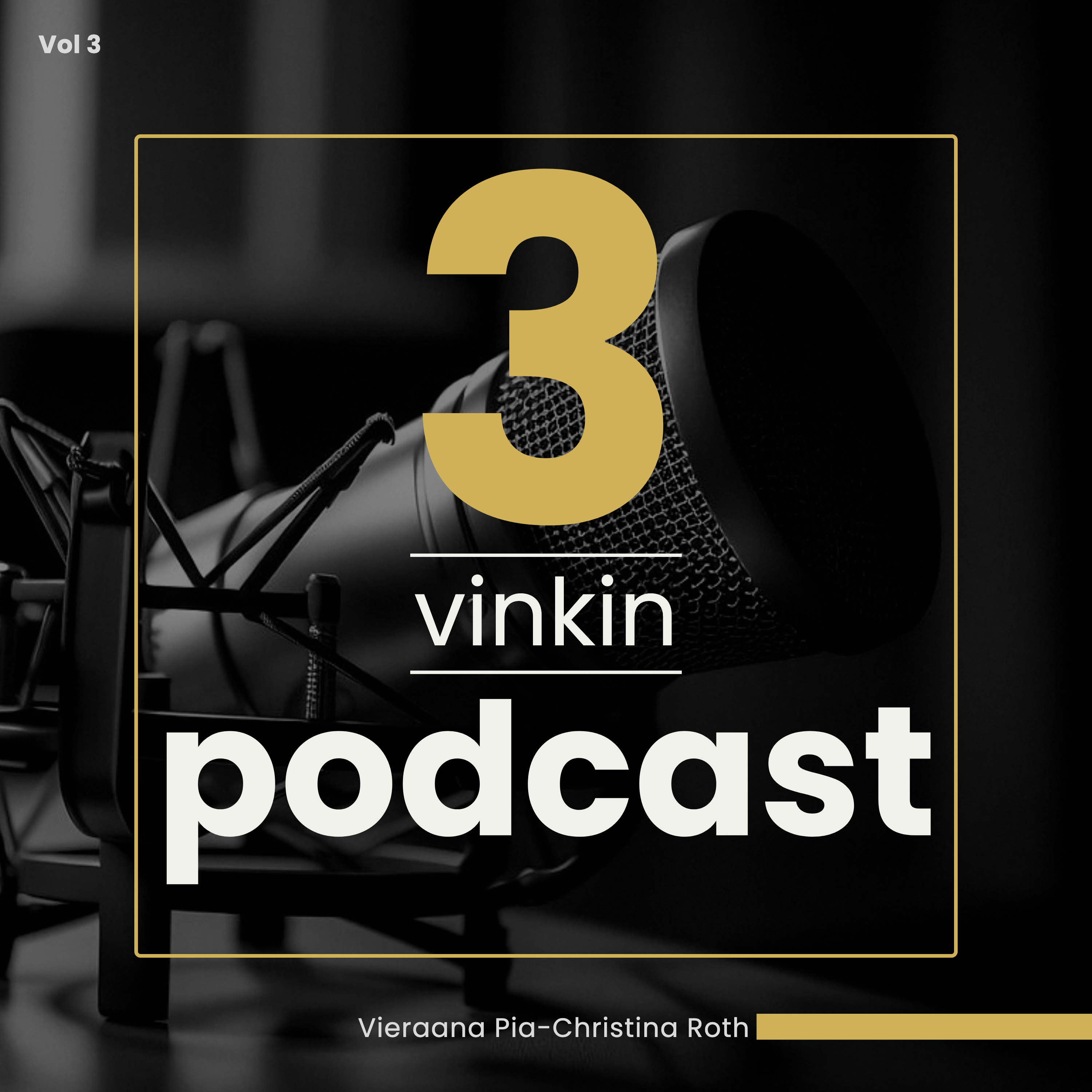 3 vinkin podcast