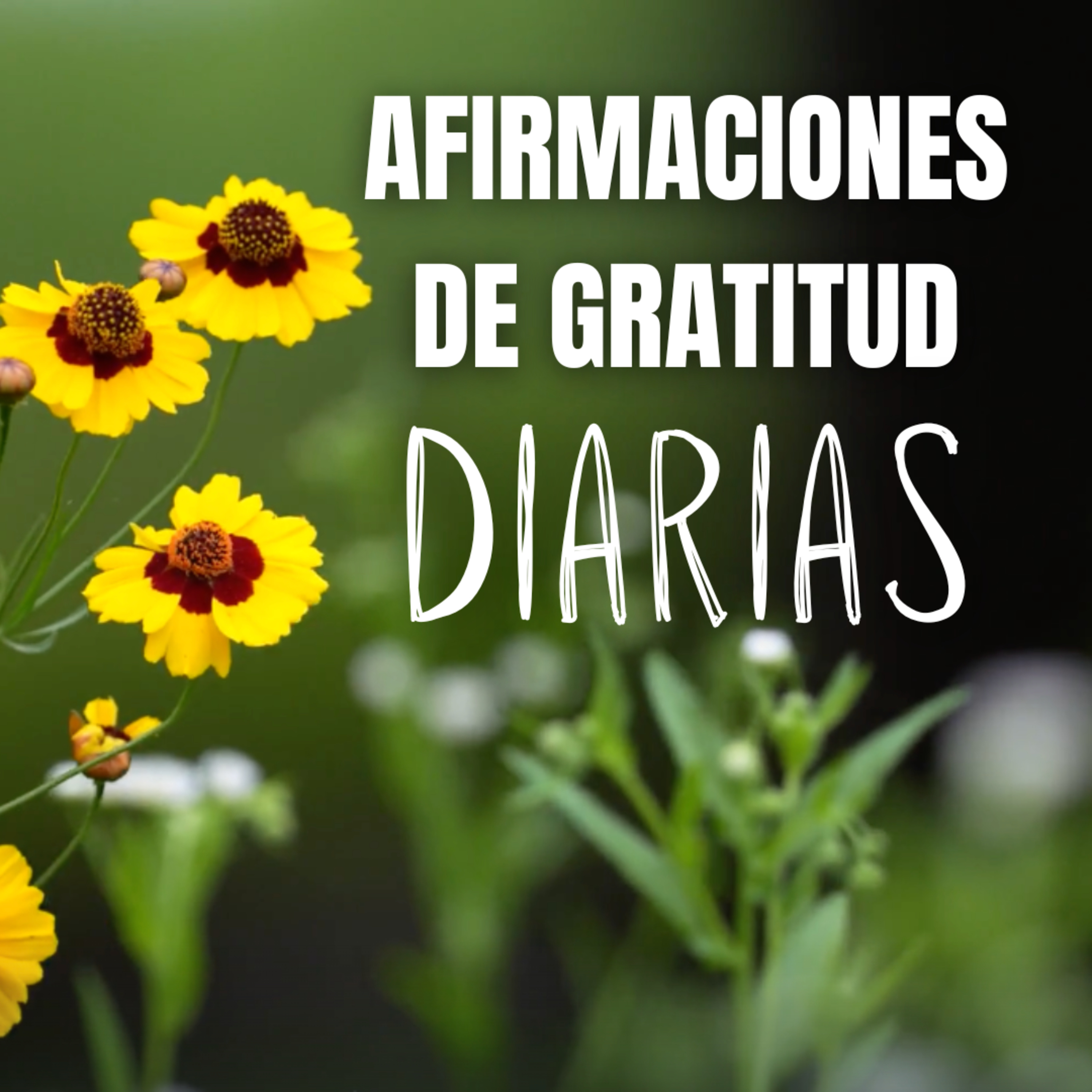 Portada de Mi Diario de Gratitud