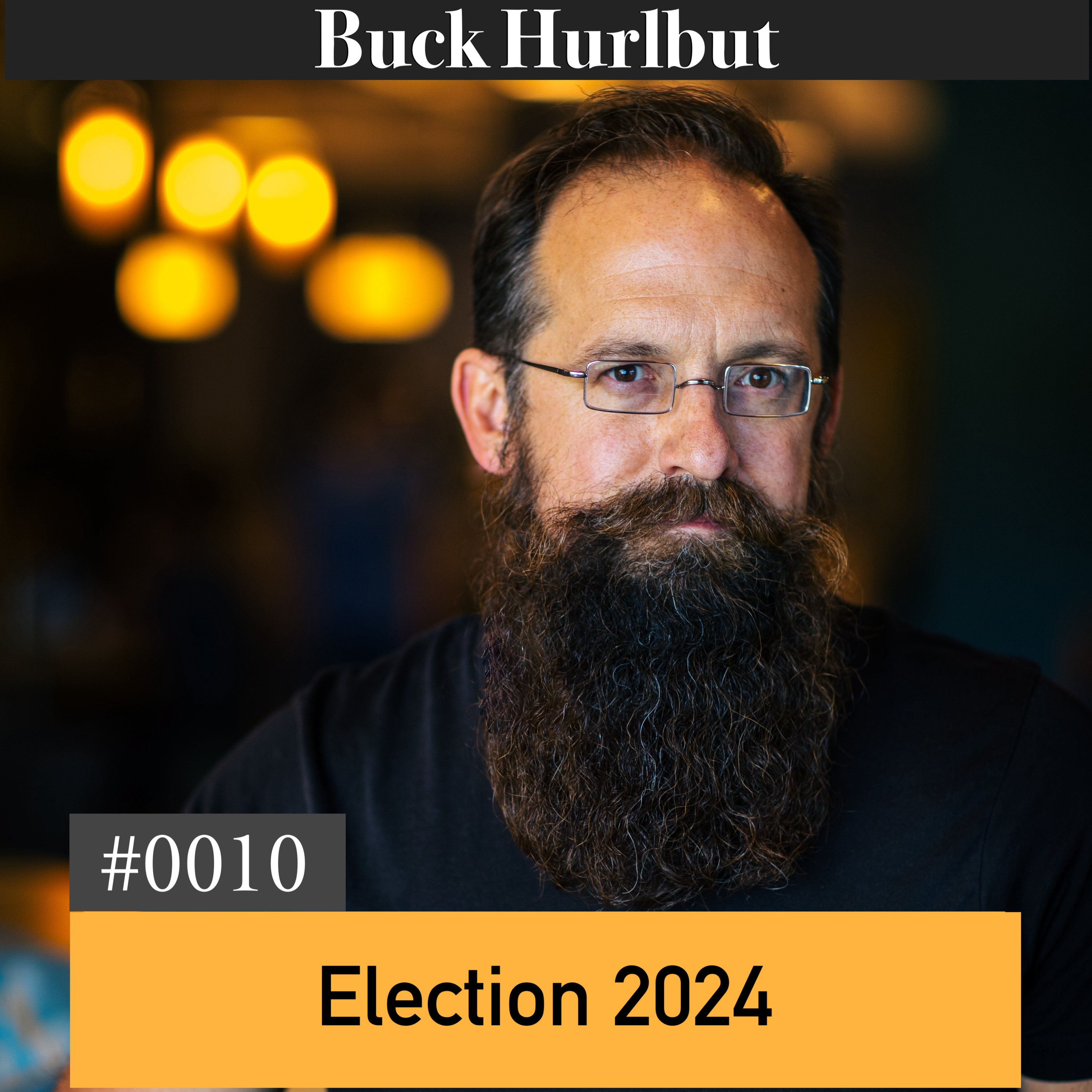 Election 2024 episode artwork