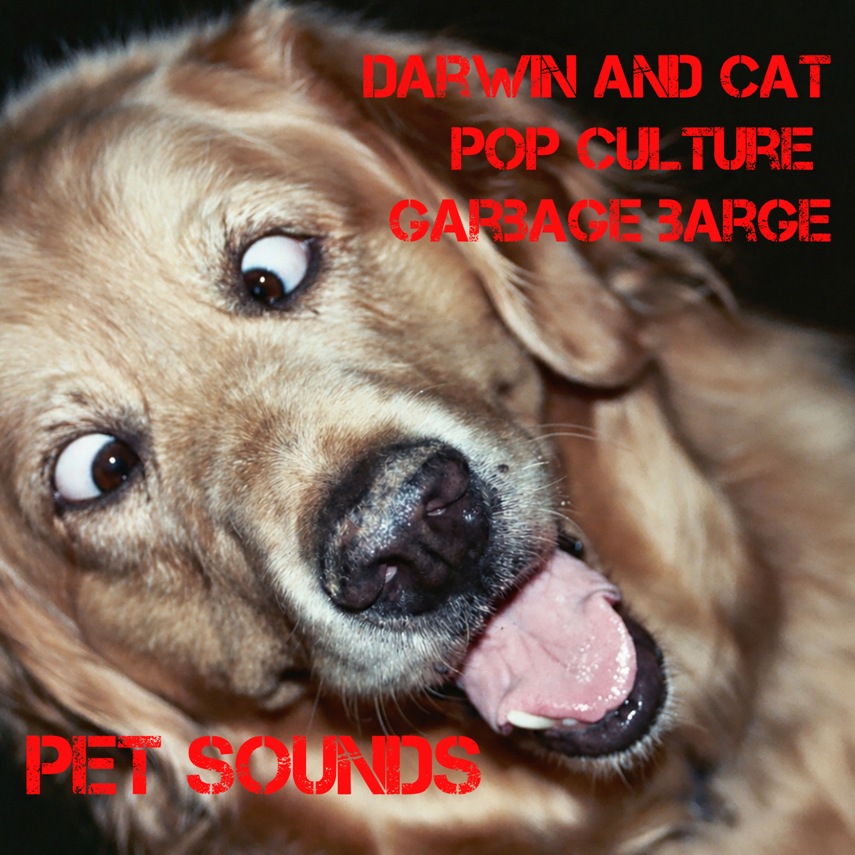 Pet Sounds episode artwork